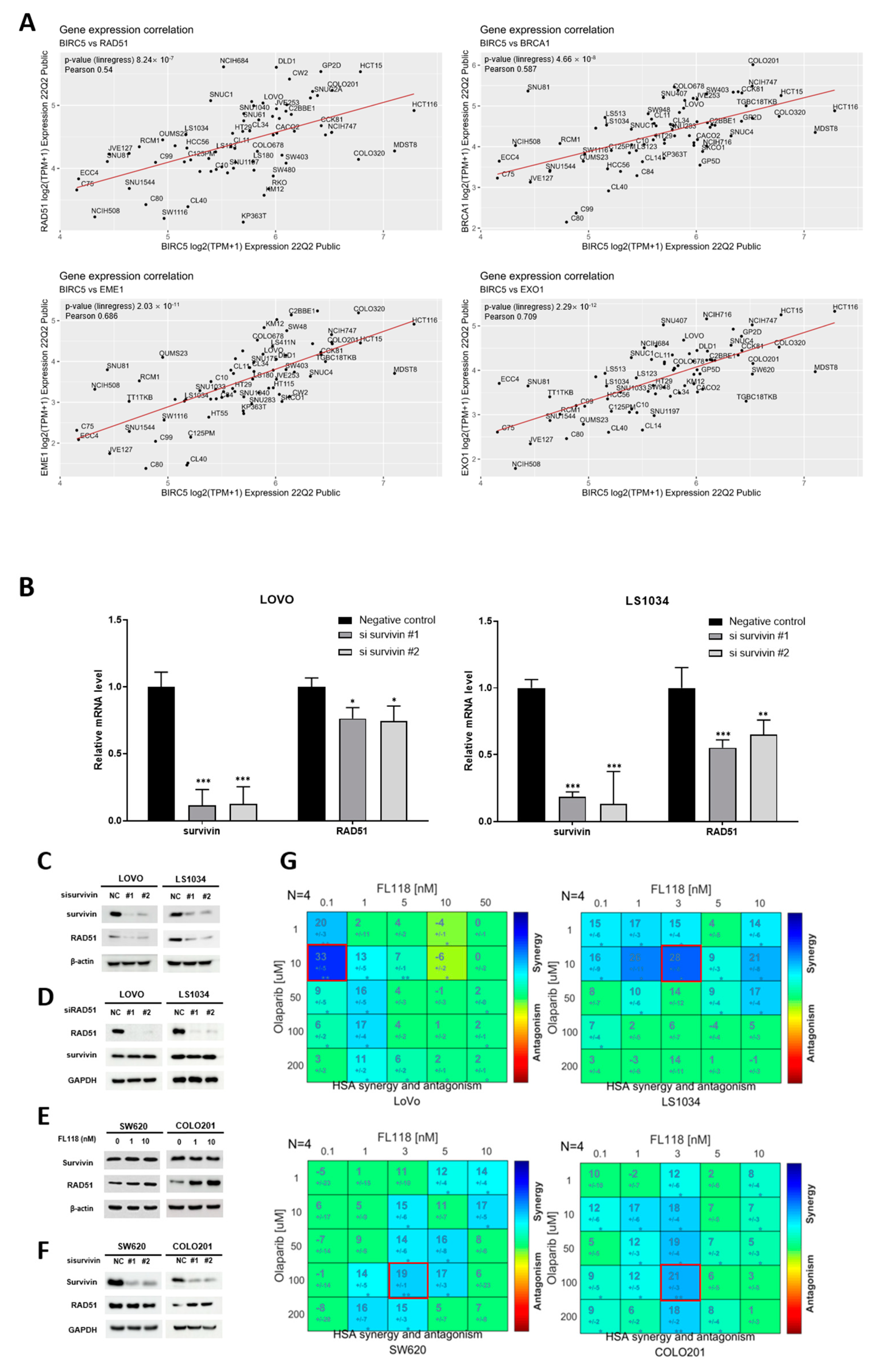 Cancers 16 03385 g004