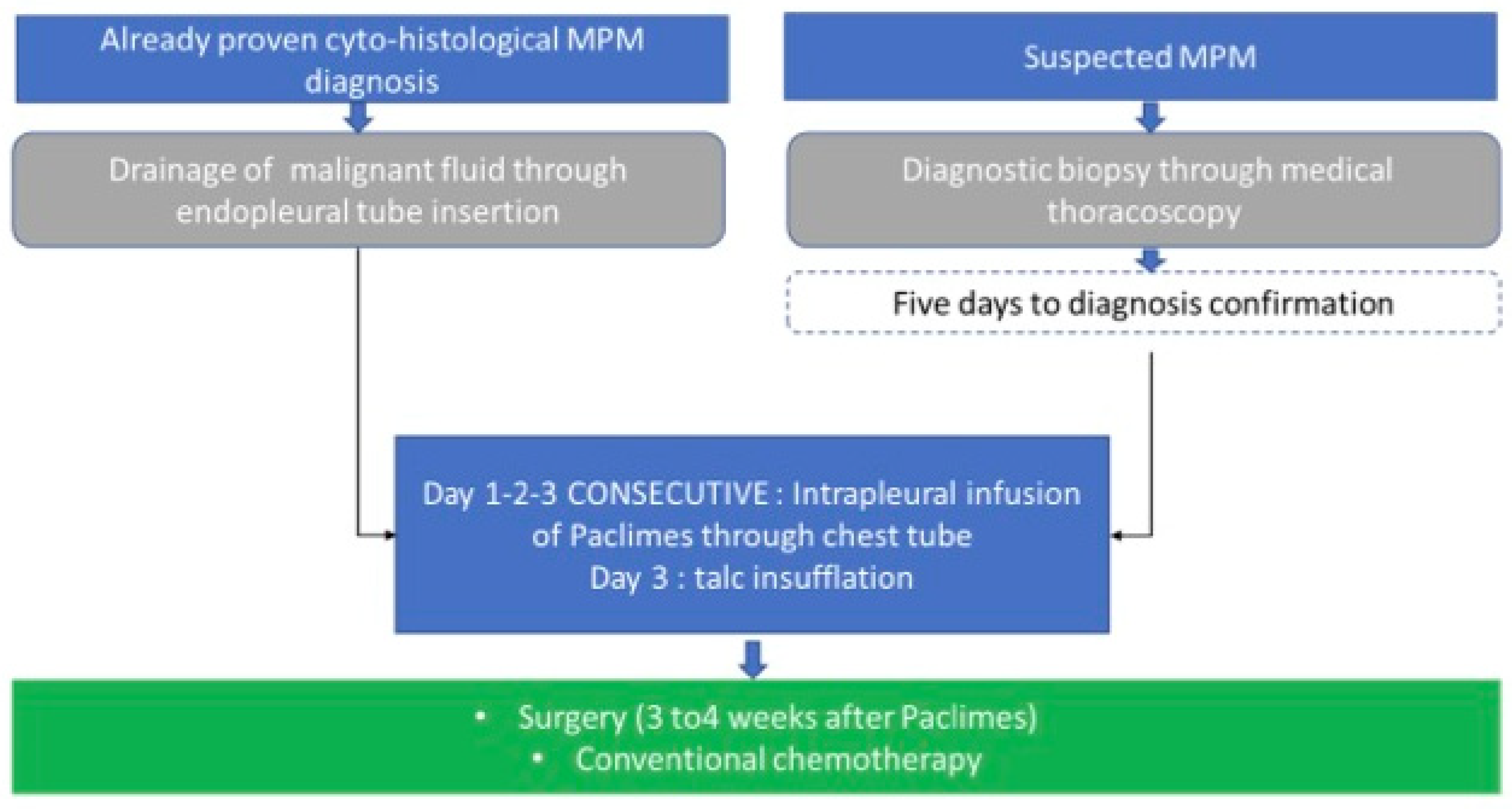 Cancers 16 03391 g002 Cancers 16 03391 g002