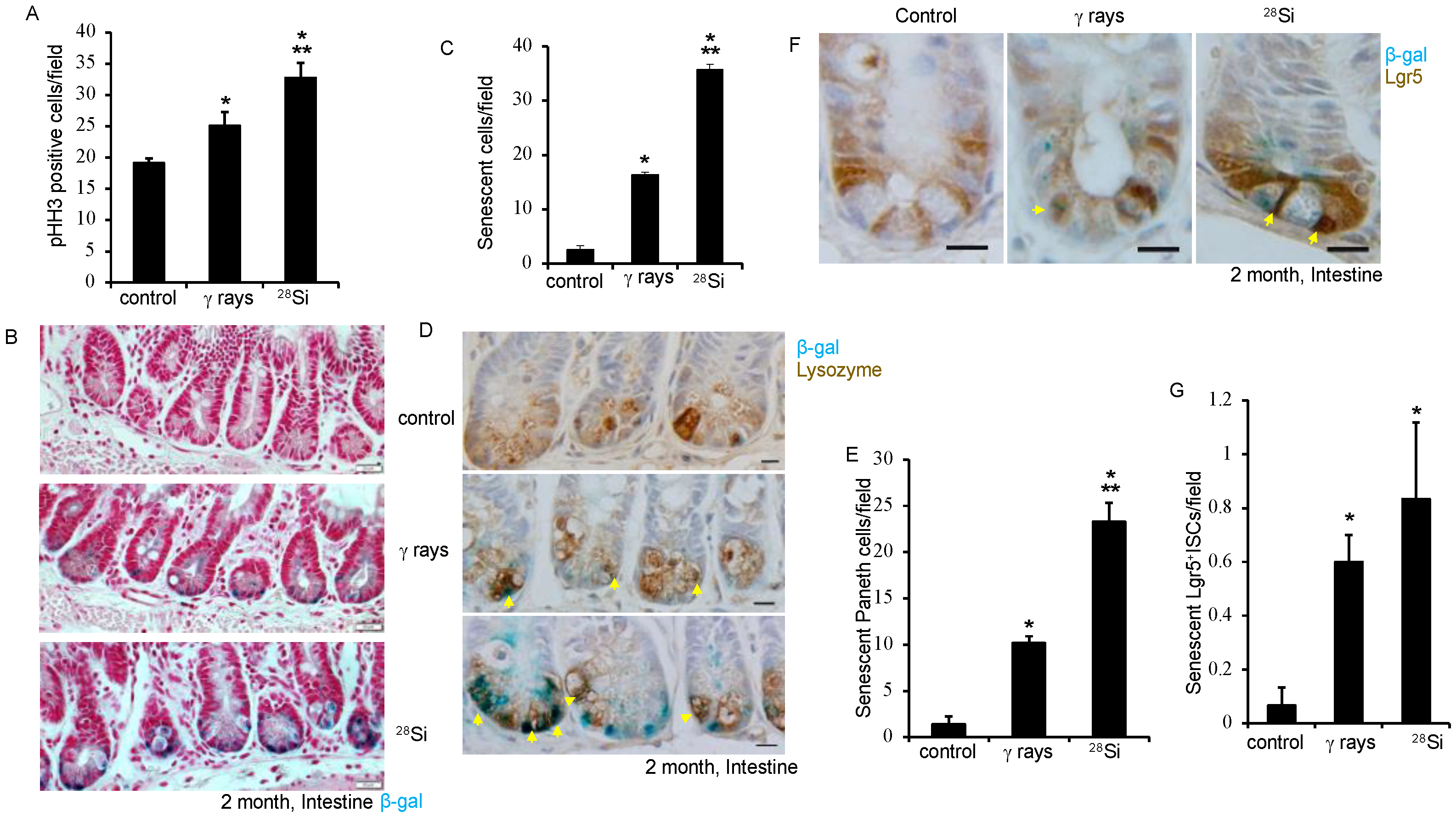 Cancers 16 03392 g002