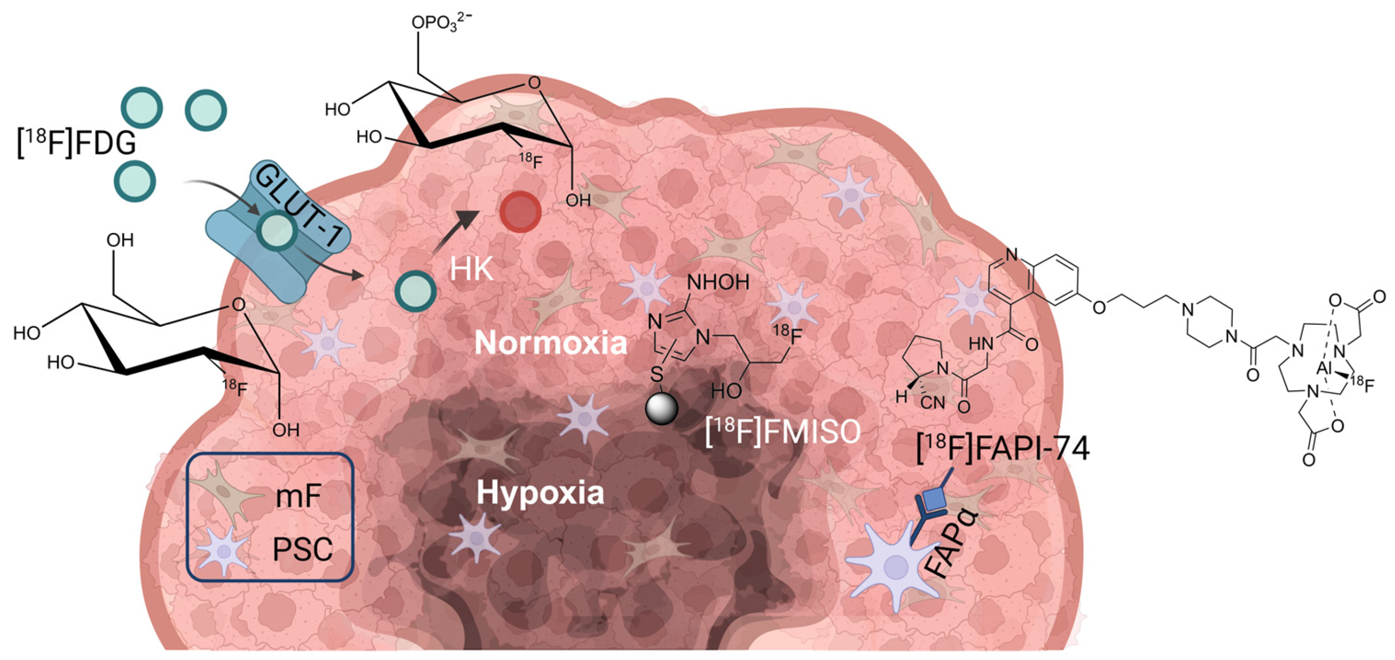 Cancers 16 03393 g001