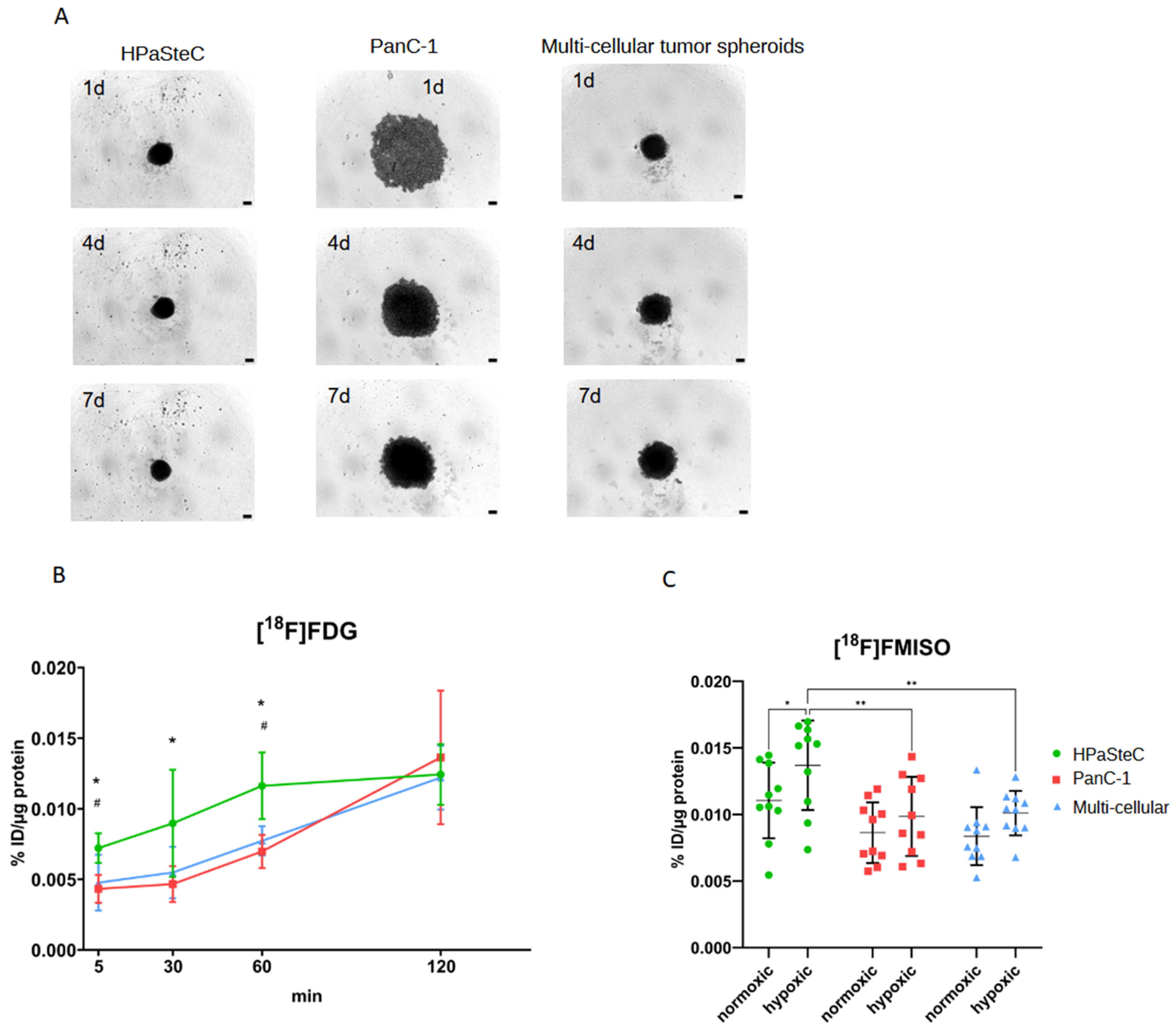 Cancers 16 03393 g002