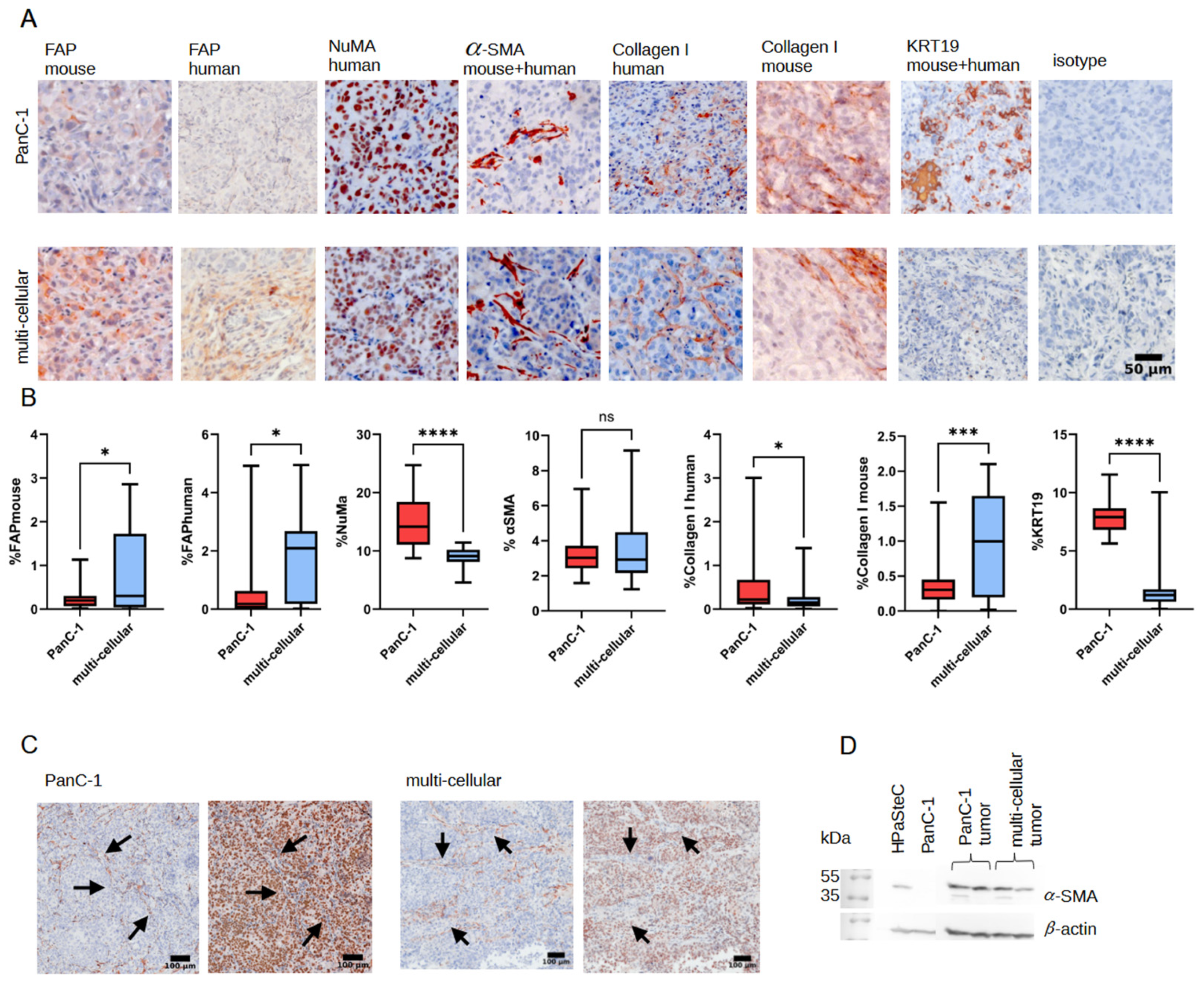 Cancers 16 03393 g006