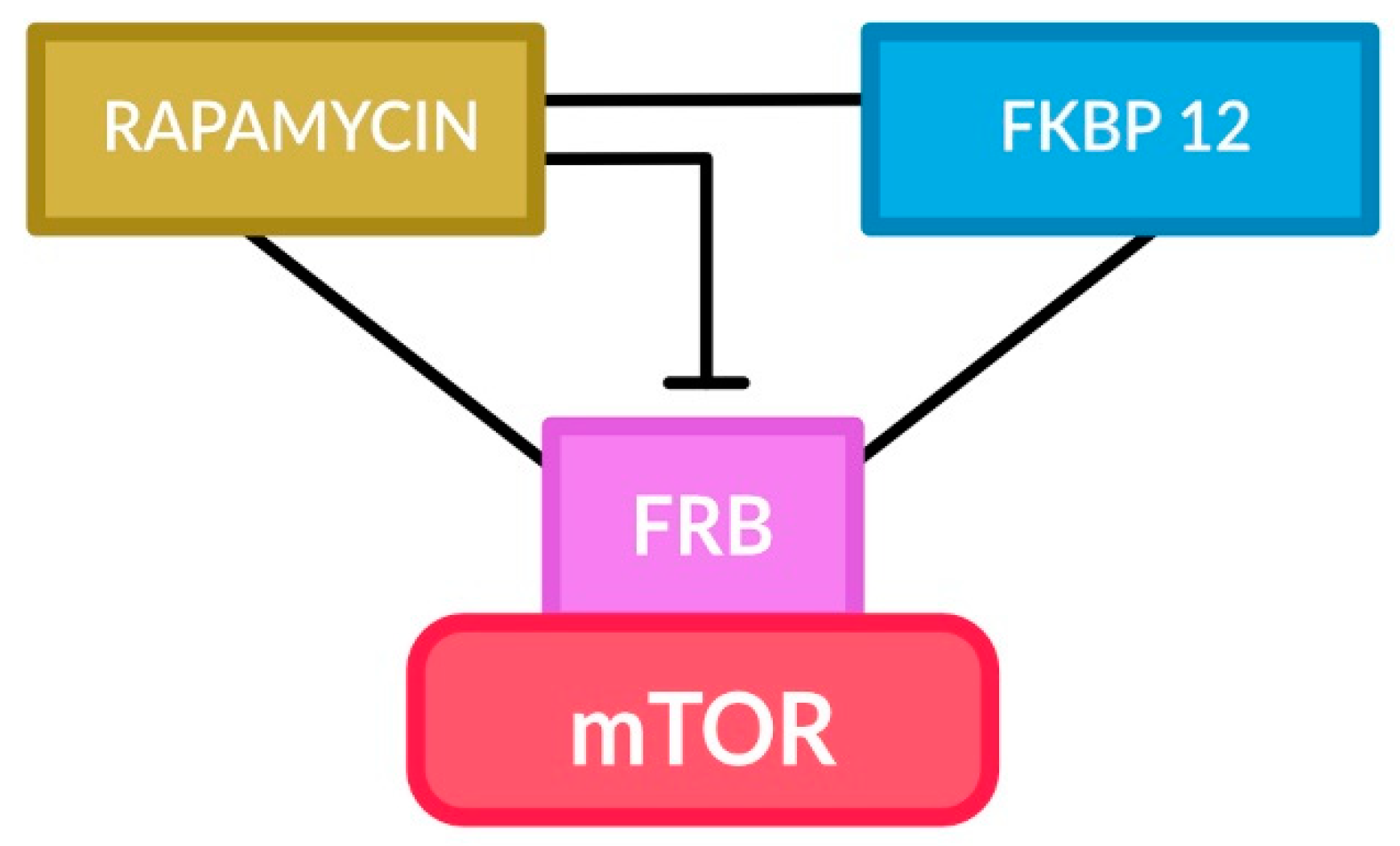 Cancers 16 03406 g001