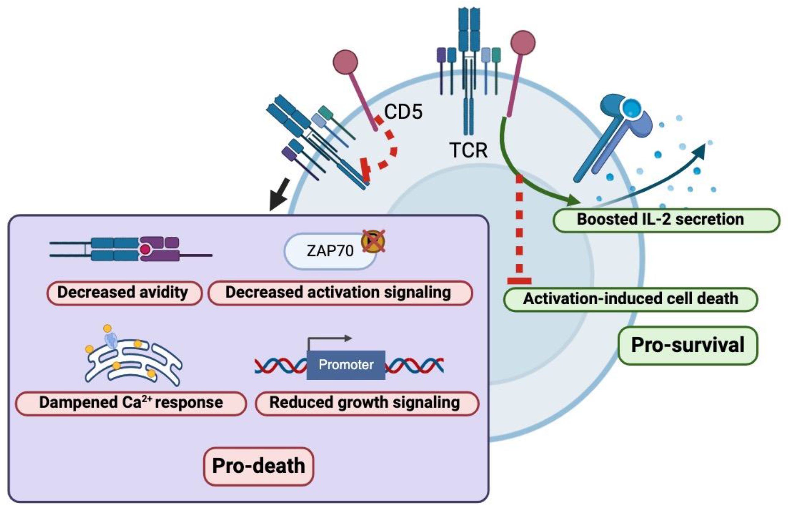 Cancers 16 03430 g001 Cancers 16 03430 g001