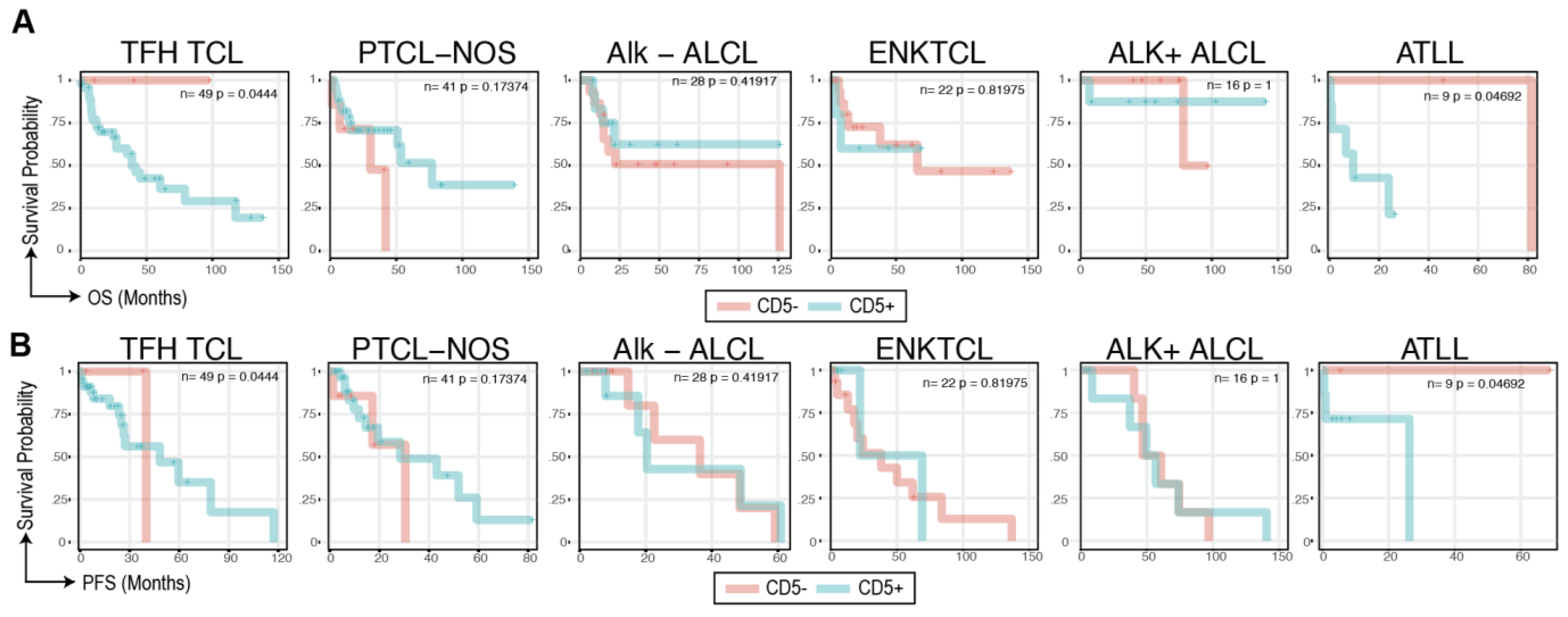Cancers 16 03430 g004 Cancers 16 03430 g004