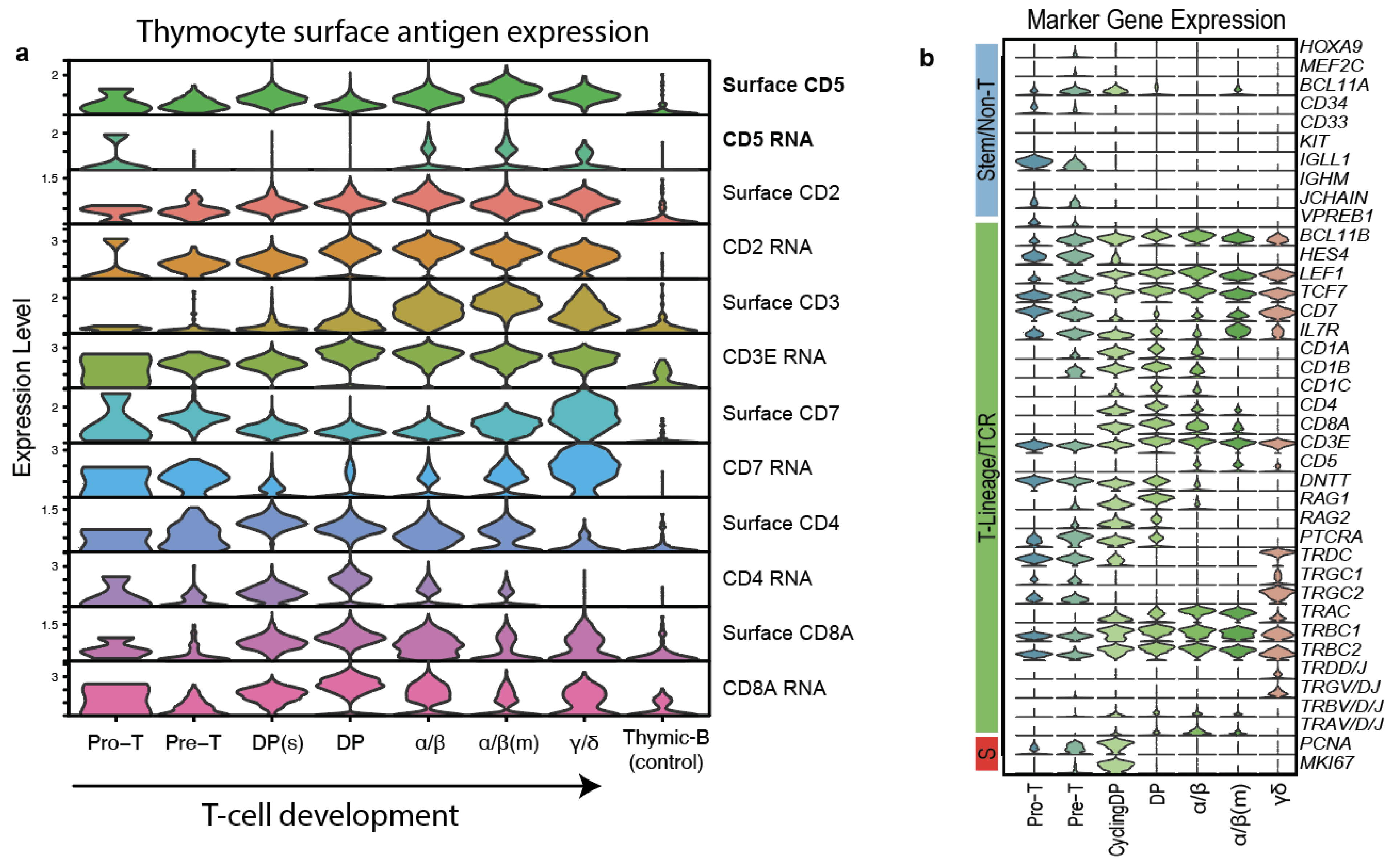 Cancers 16 03430 g005 Cancers 16 03430 g005