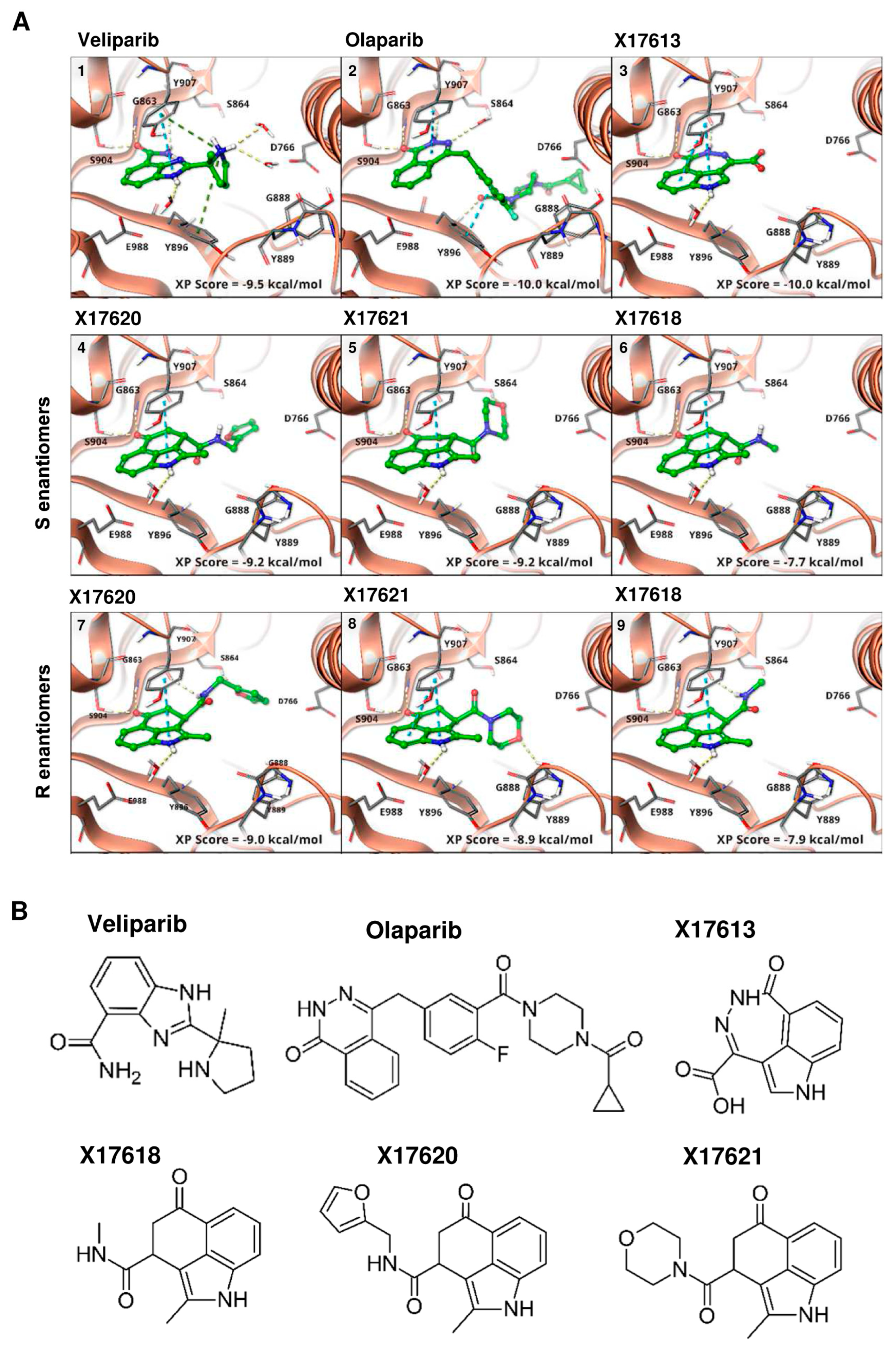 Cancers 16 03441 g001
