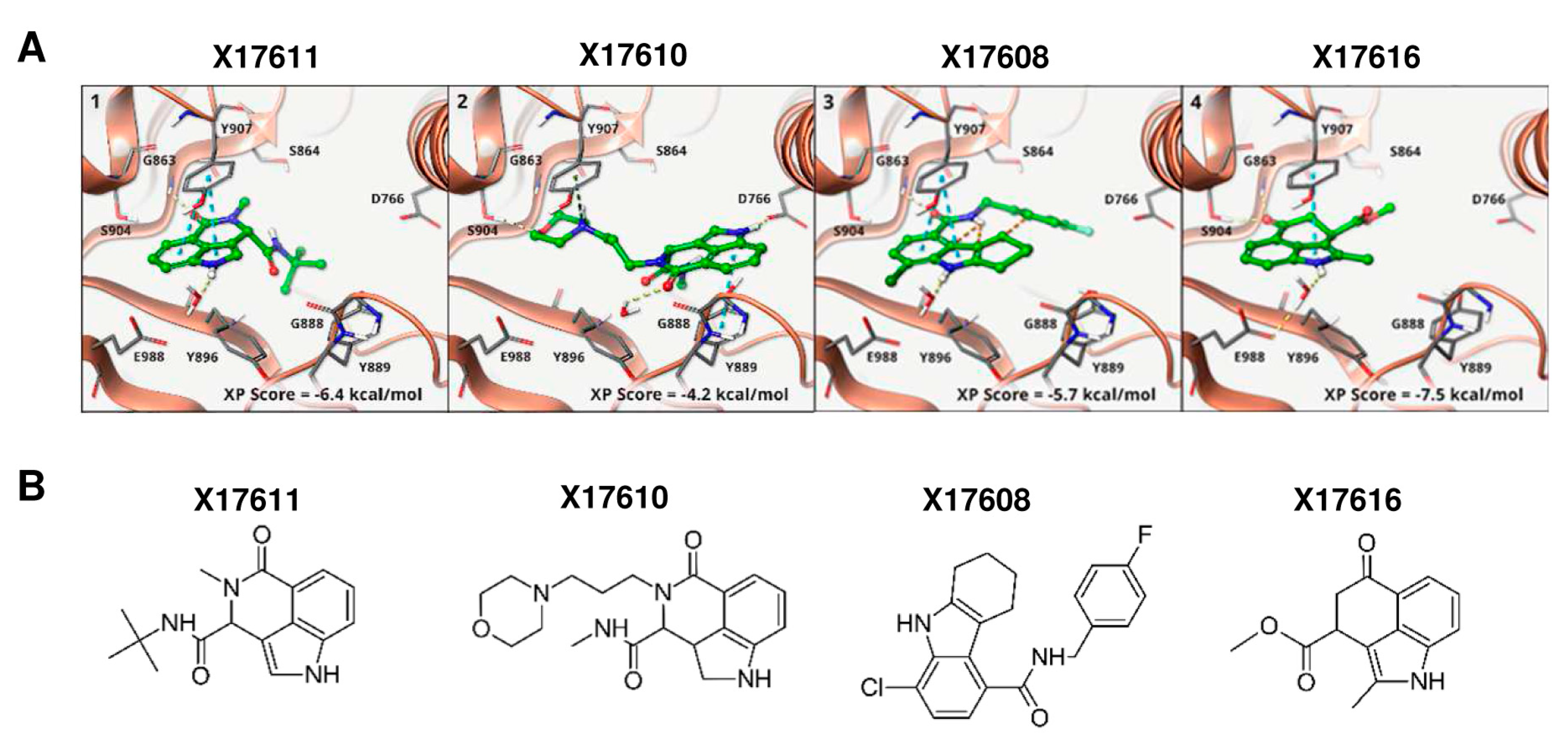 Cancers 16 03441 g0a1