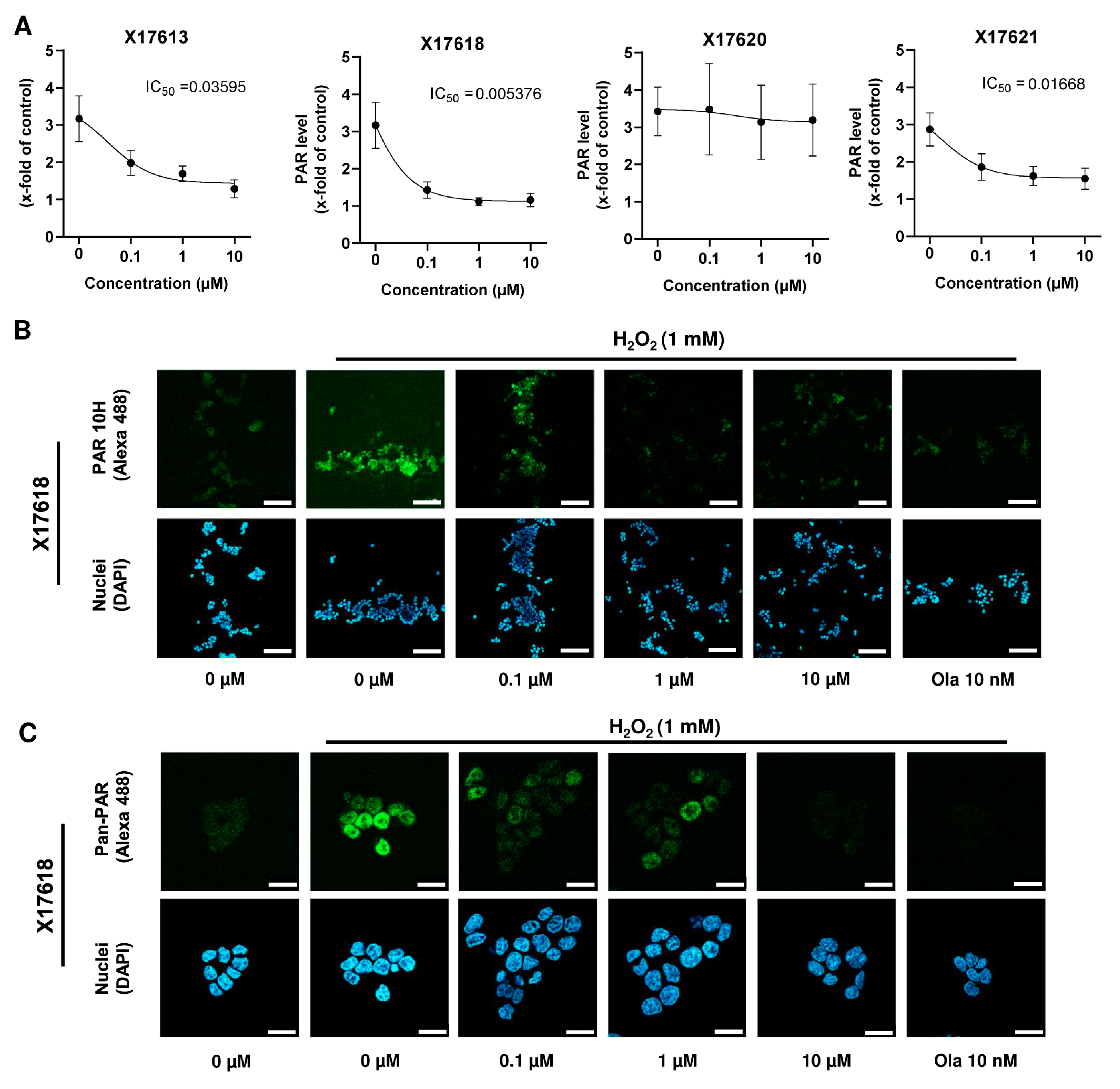 Cancers 16 03441 g0a3
