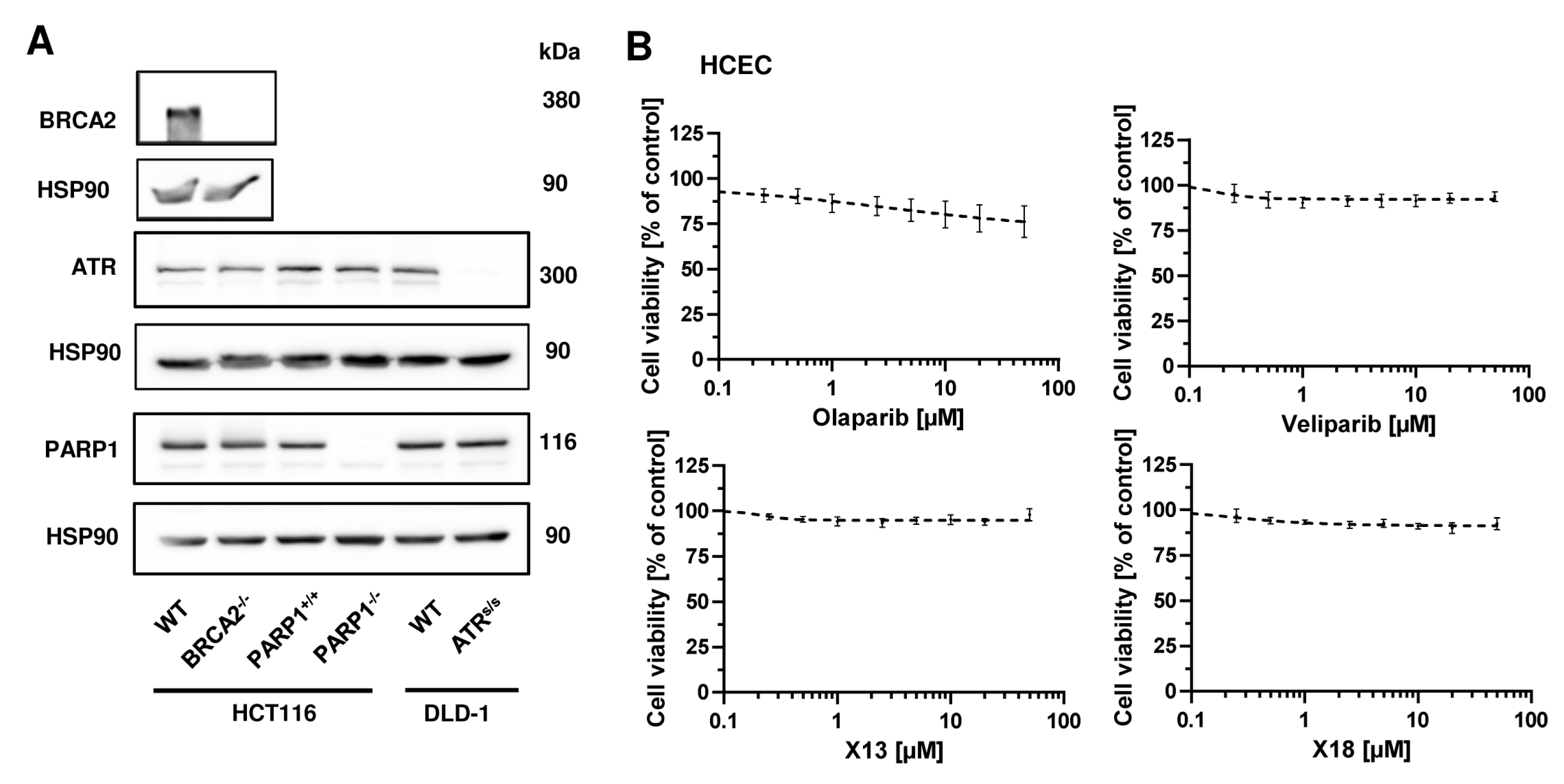 Cancers 16 03441 g0a4