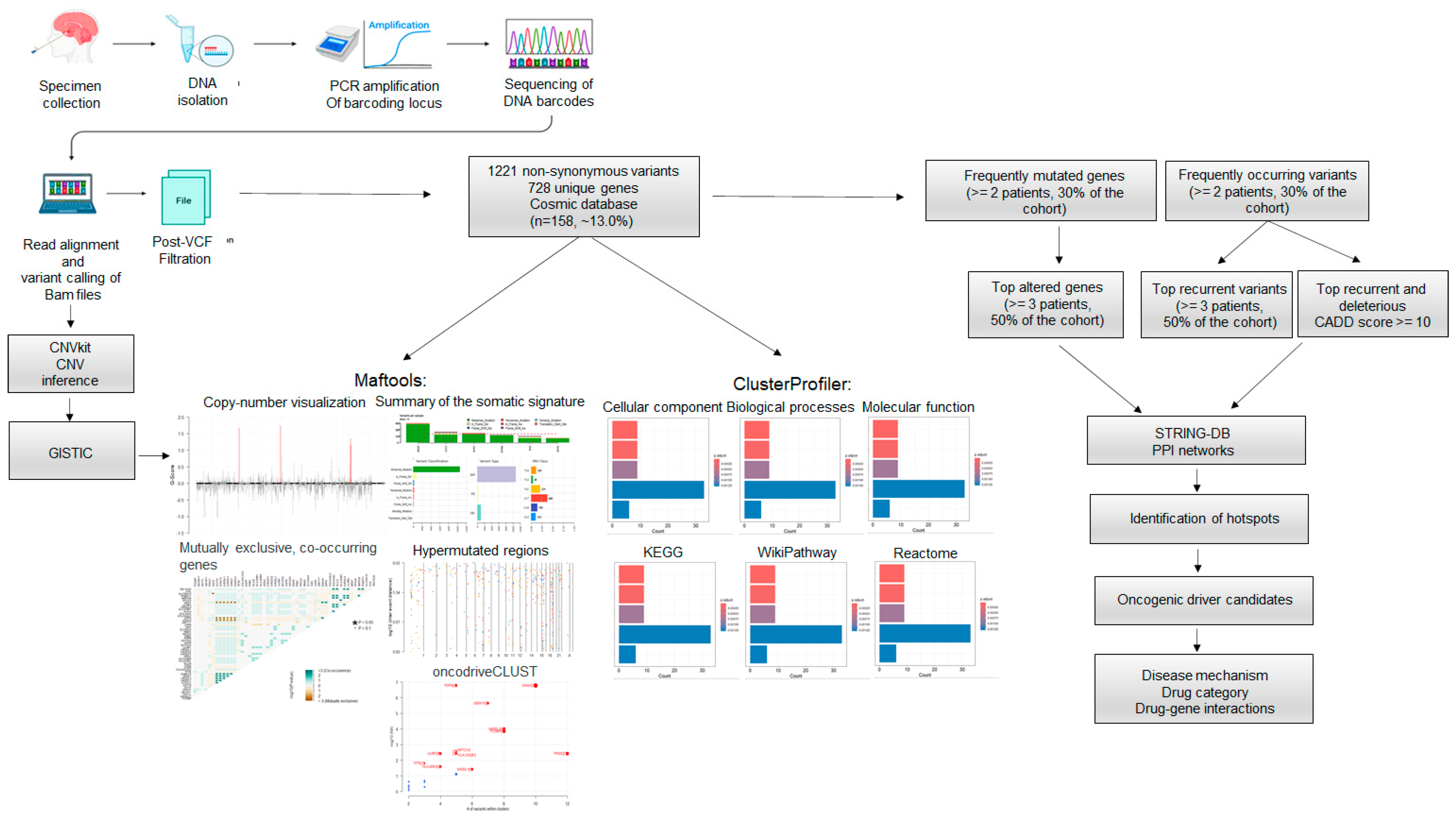 Cancers 16 03487 g001