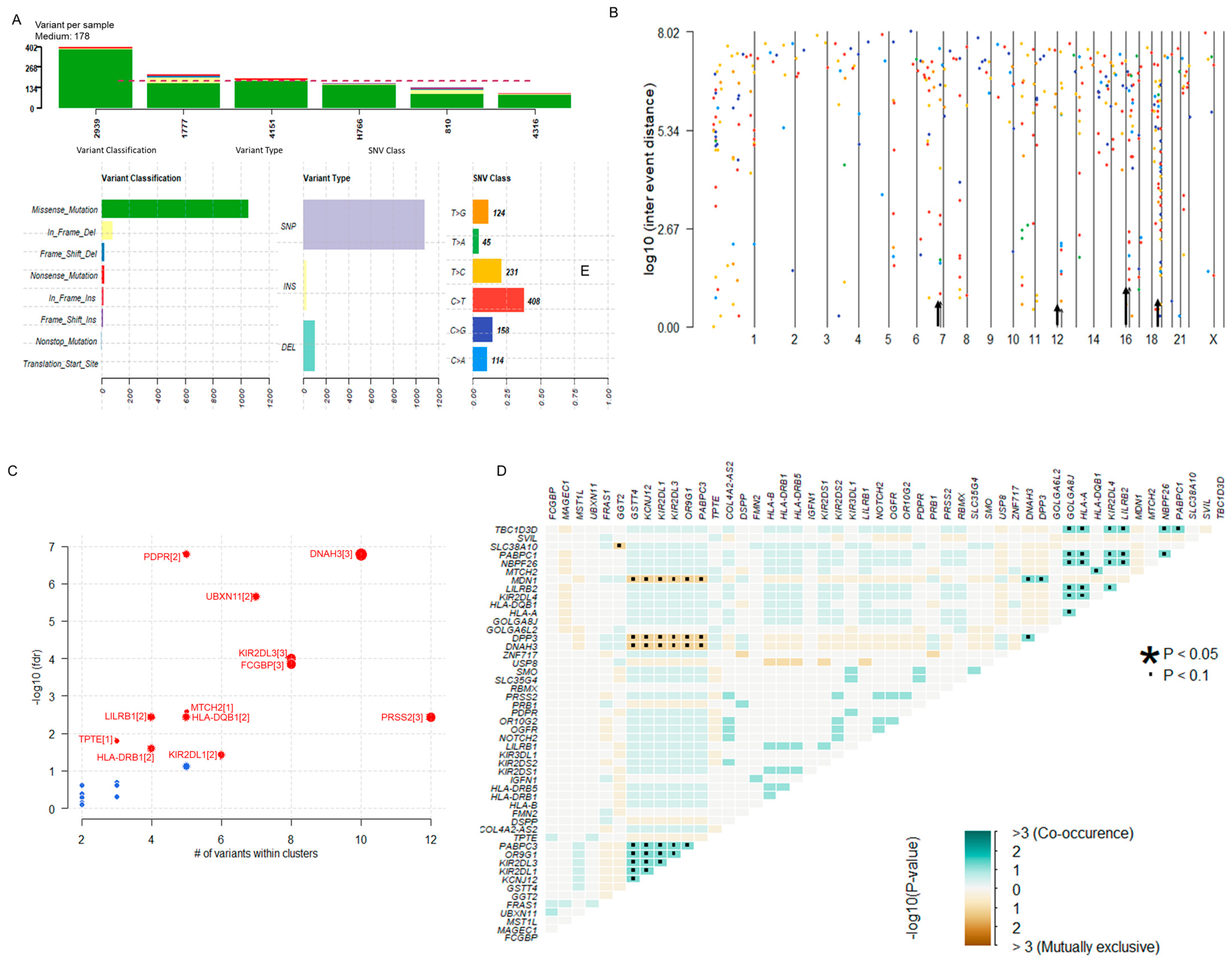 Cancers 16 03487 g002
