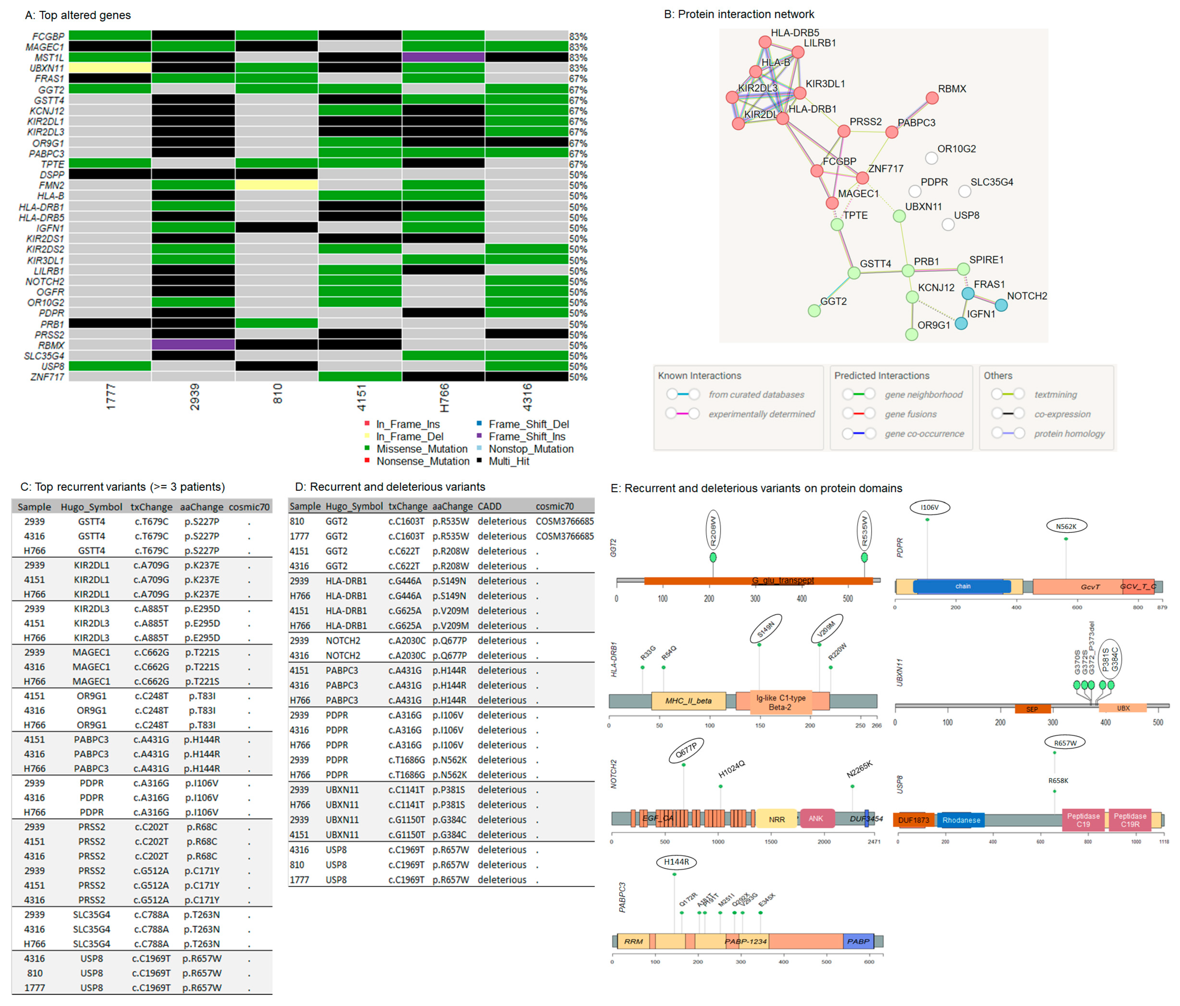 Cancers 16 03487 g004