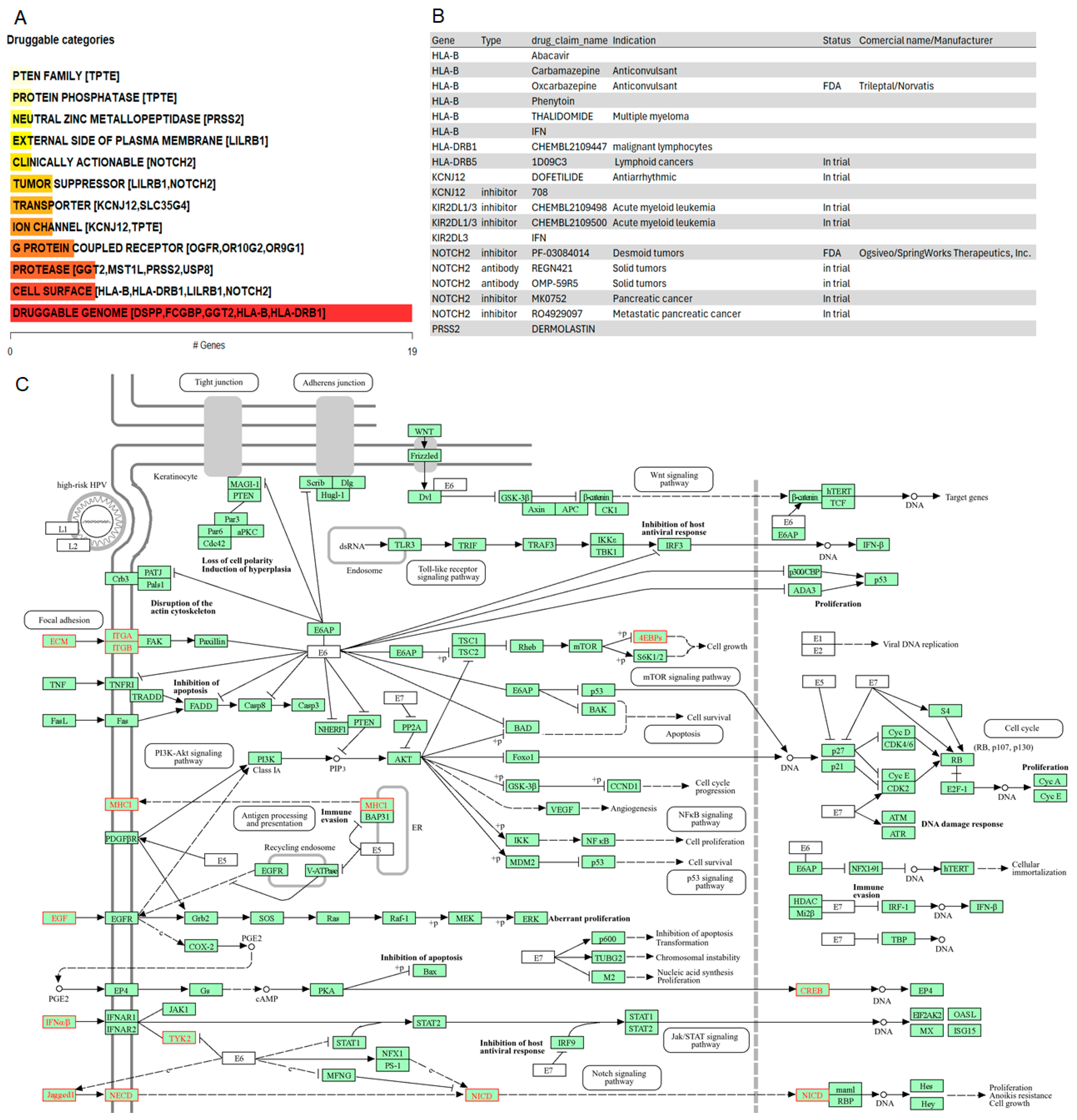 Cancers 16 03487 g006