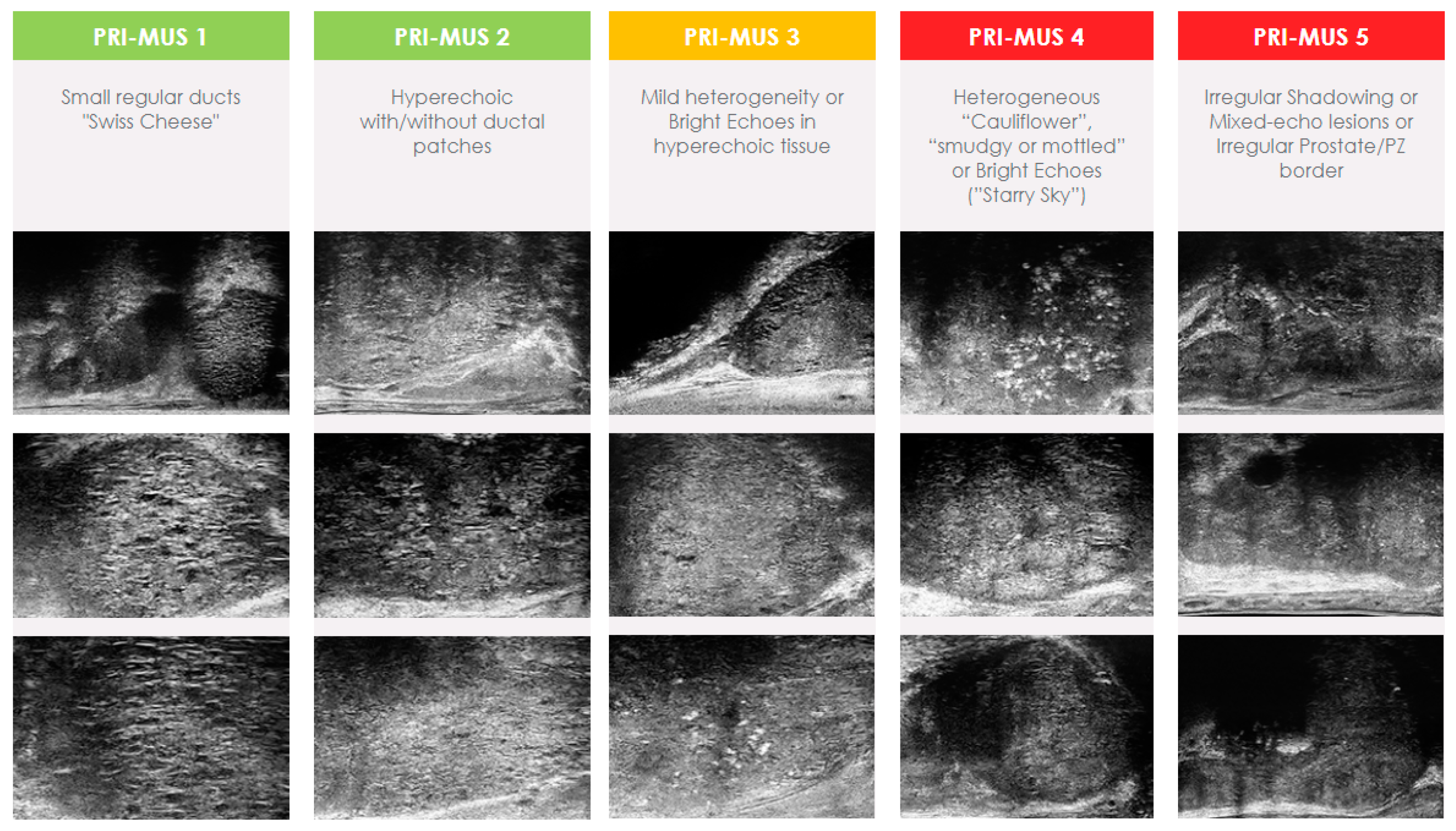 Cancers 16 03490 g001