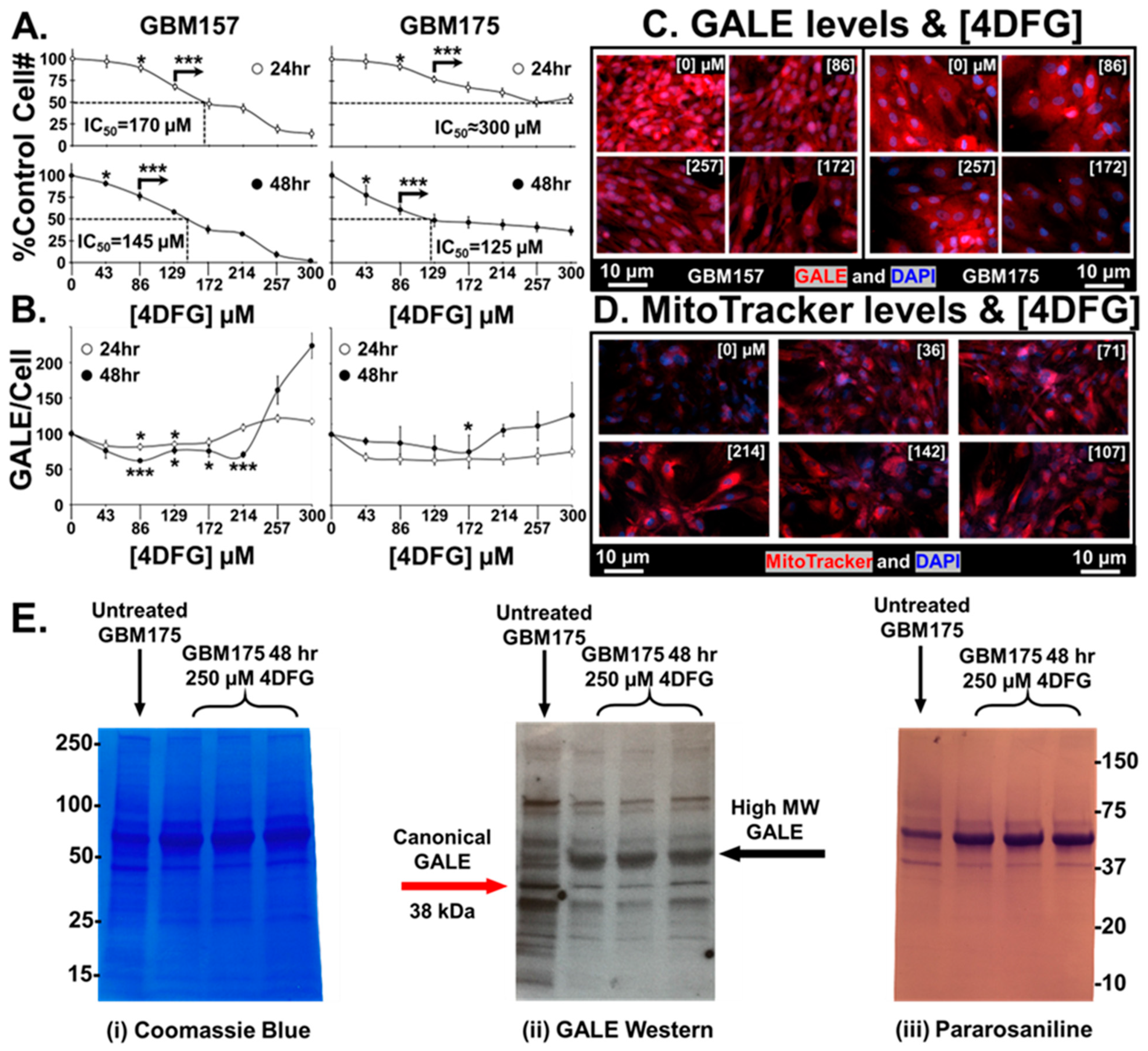 Cancers 16 03510 g003