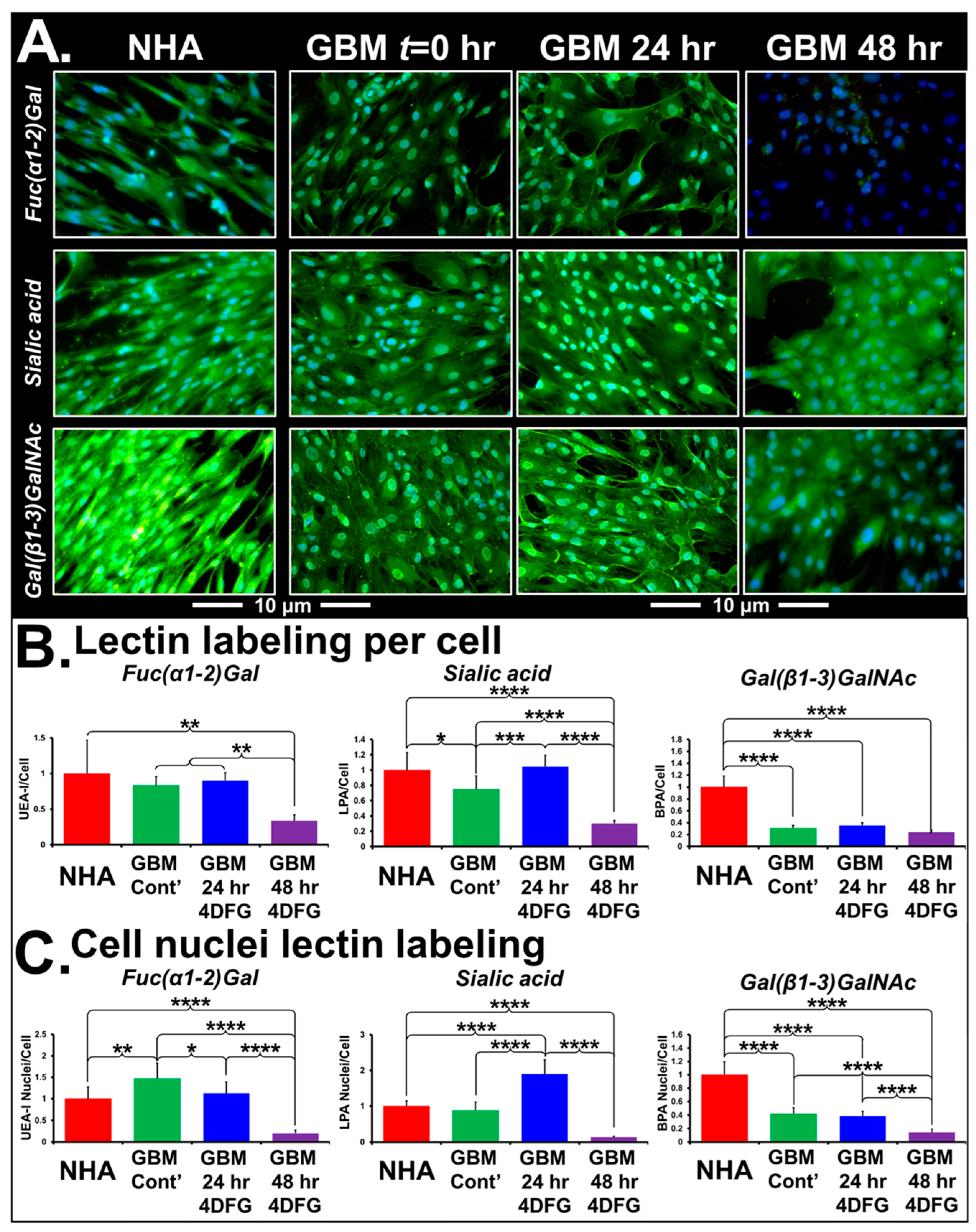 Cancers 16 03510 g005