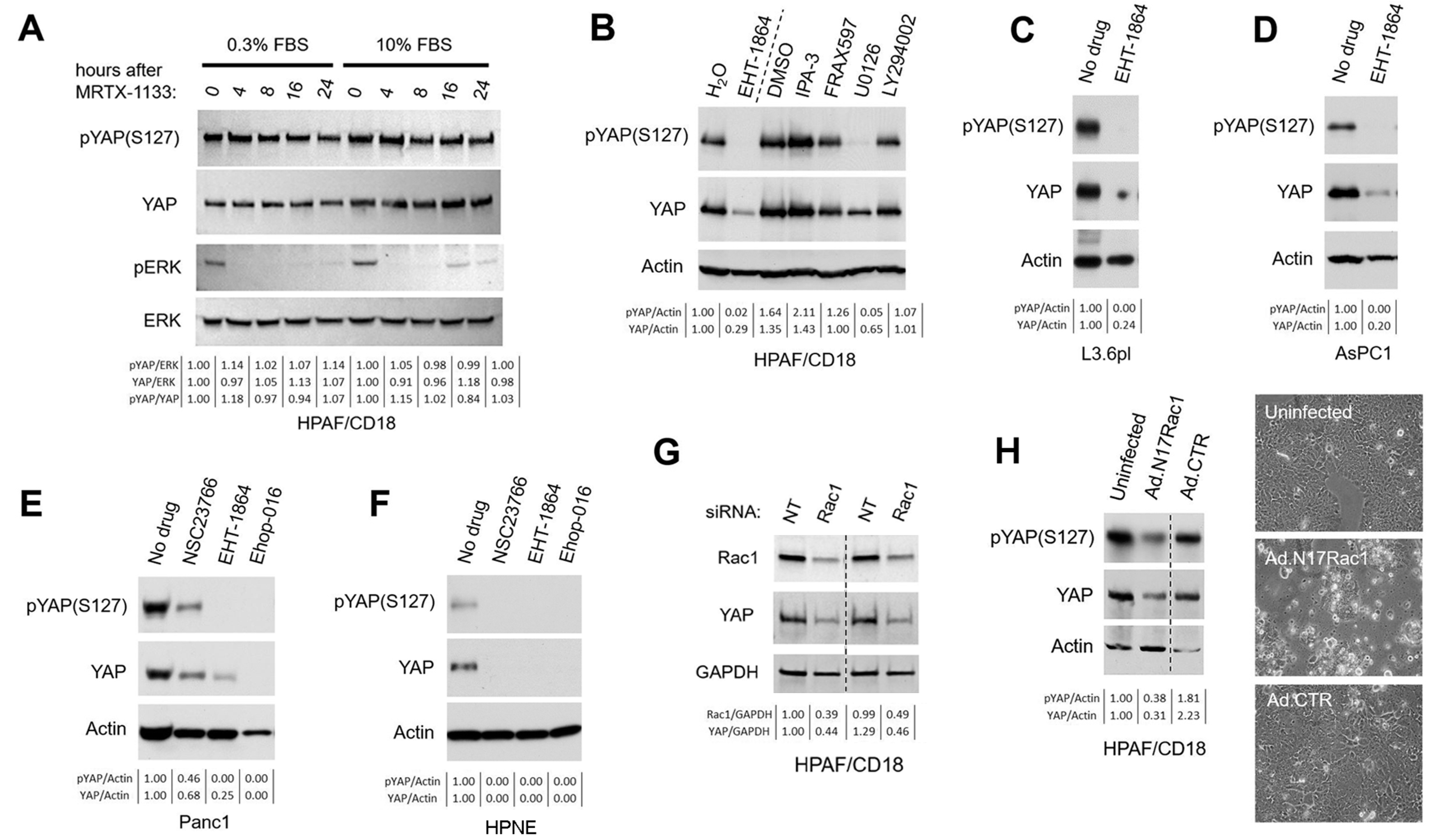 Cancers 16 03605 g001