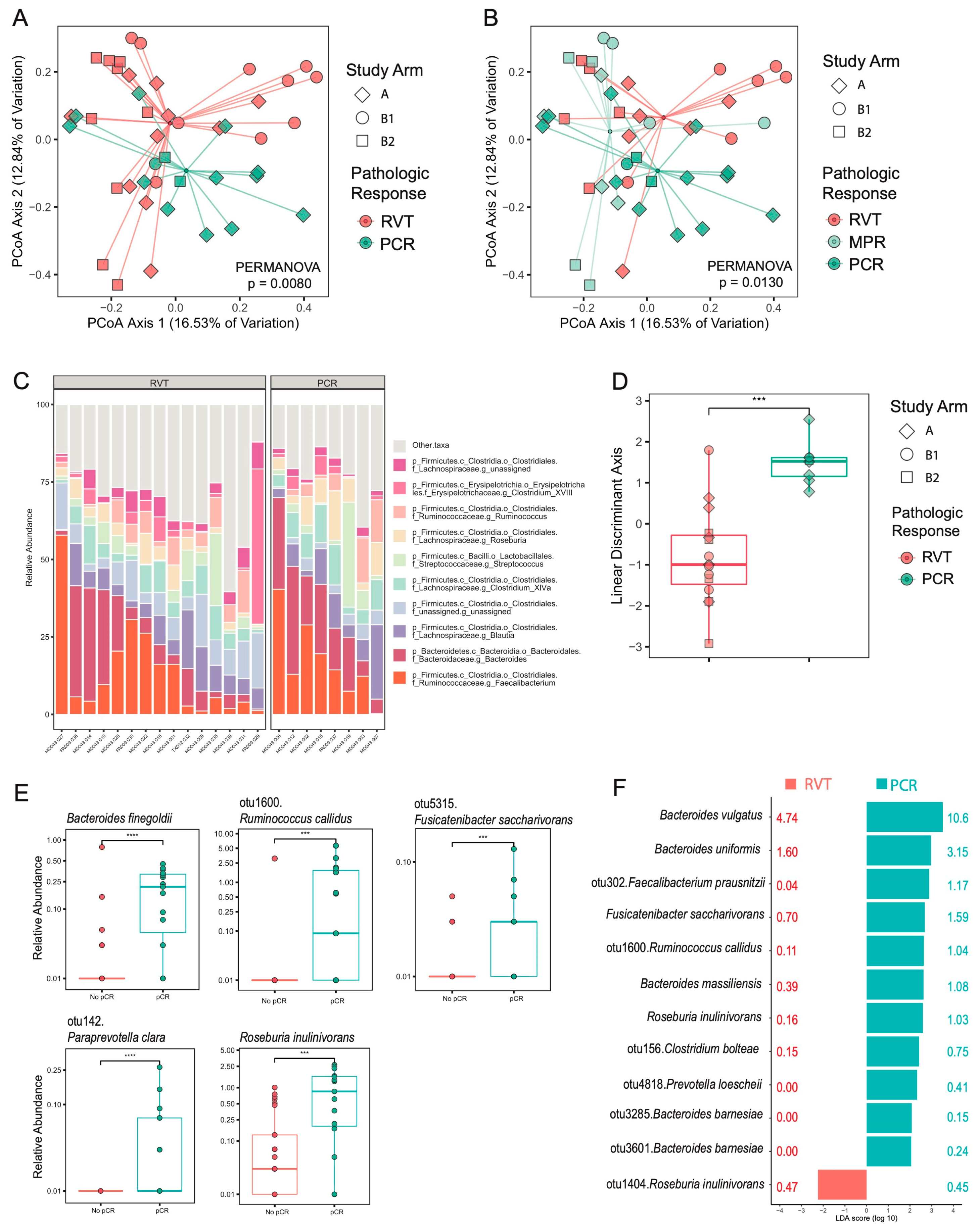 Cancers 16 03644 g001