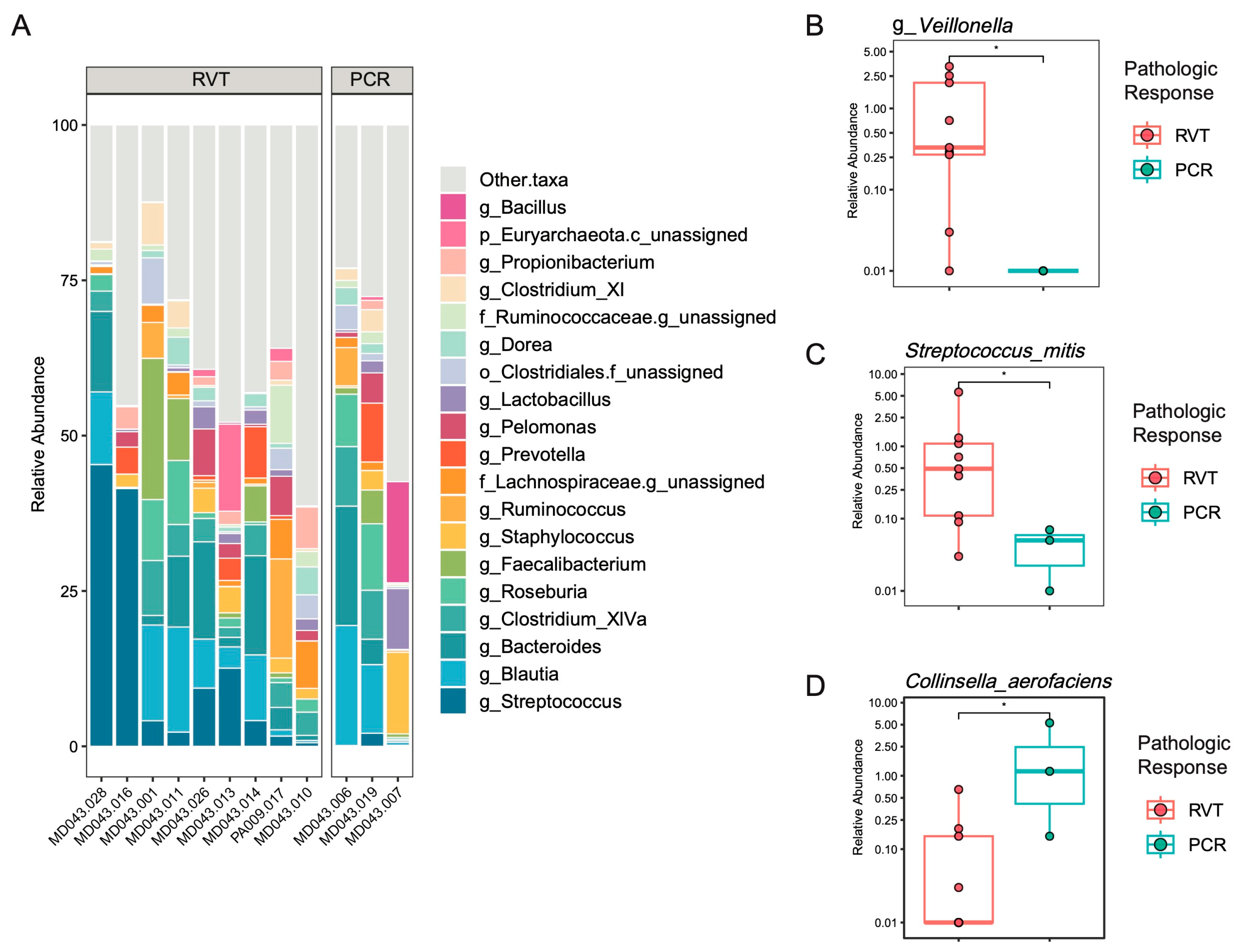 Cancers 16 03644 g003