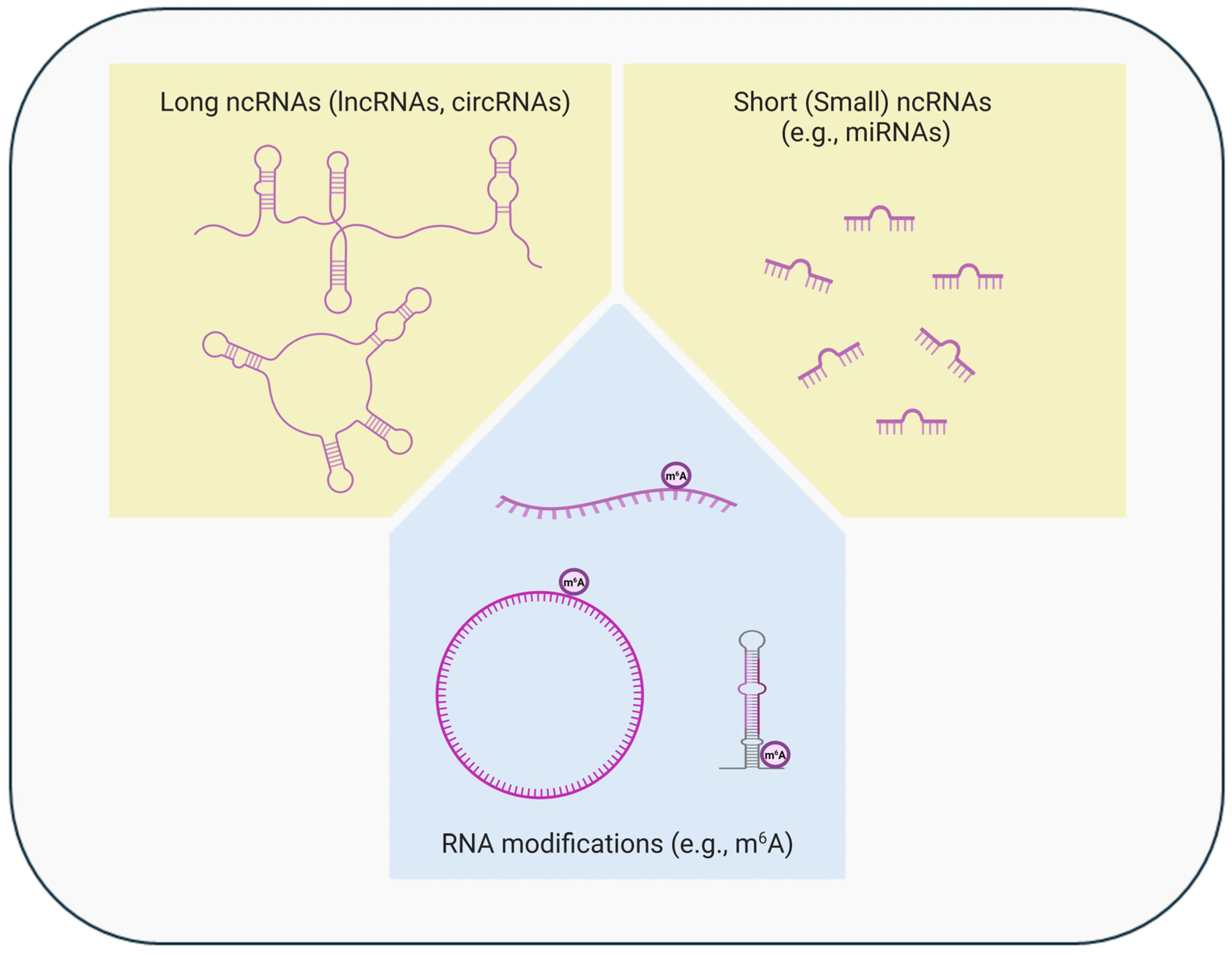 Cancers 16 03687 g002