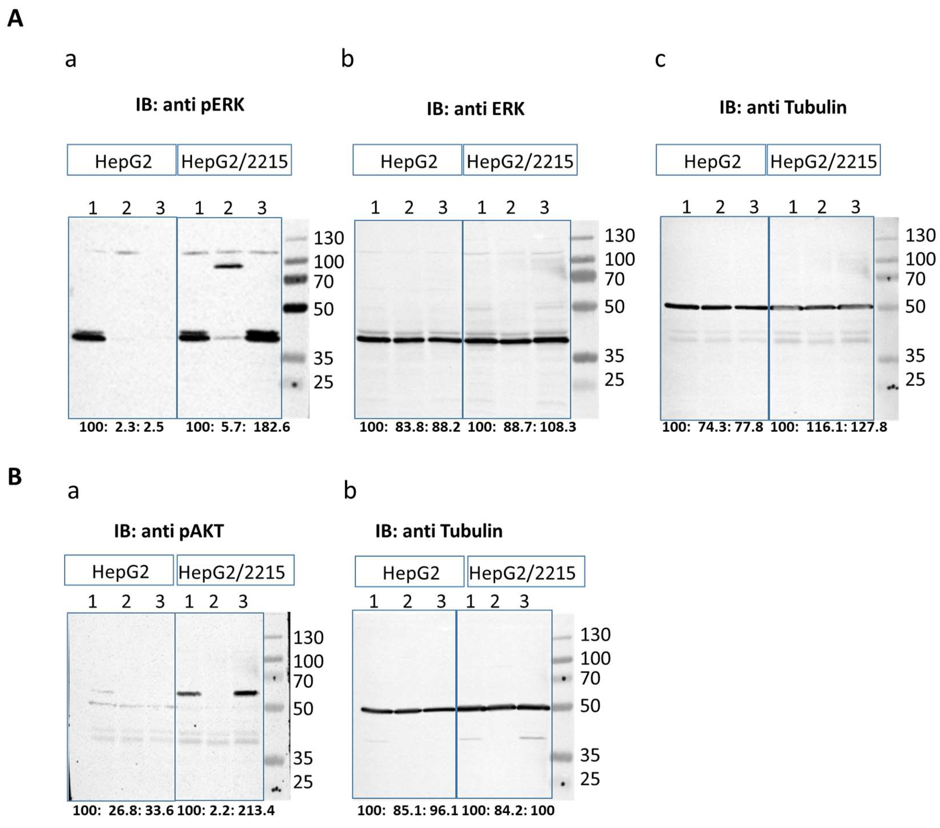 Cancers 16 03763 g004