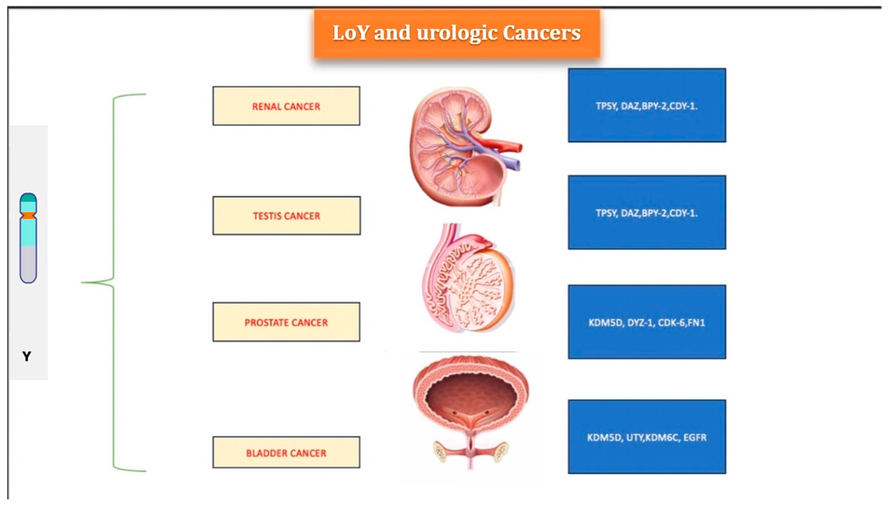 Cancers 16 03766 g001 Cancers 16 03766 g001