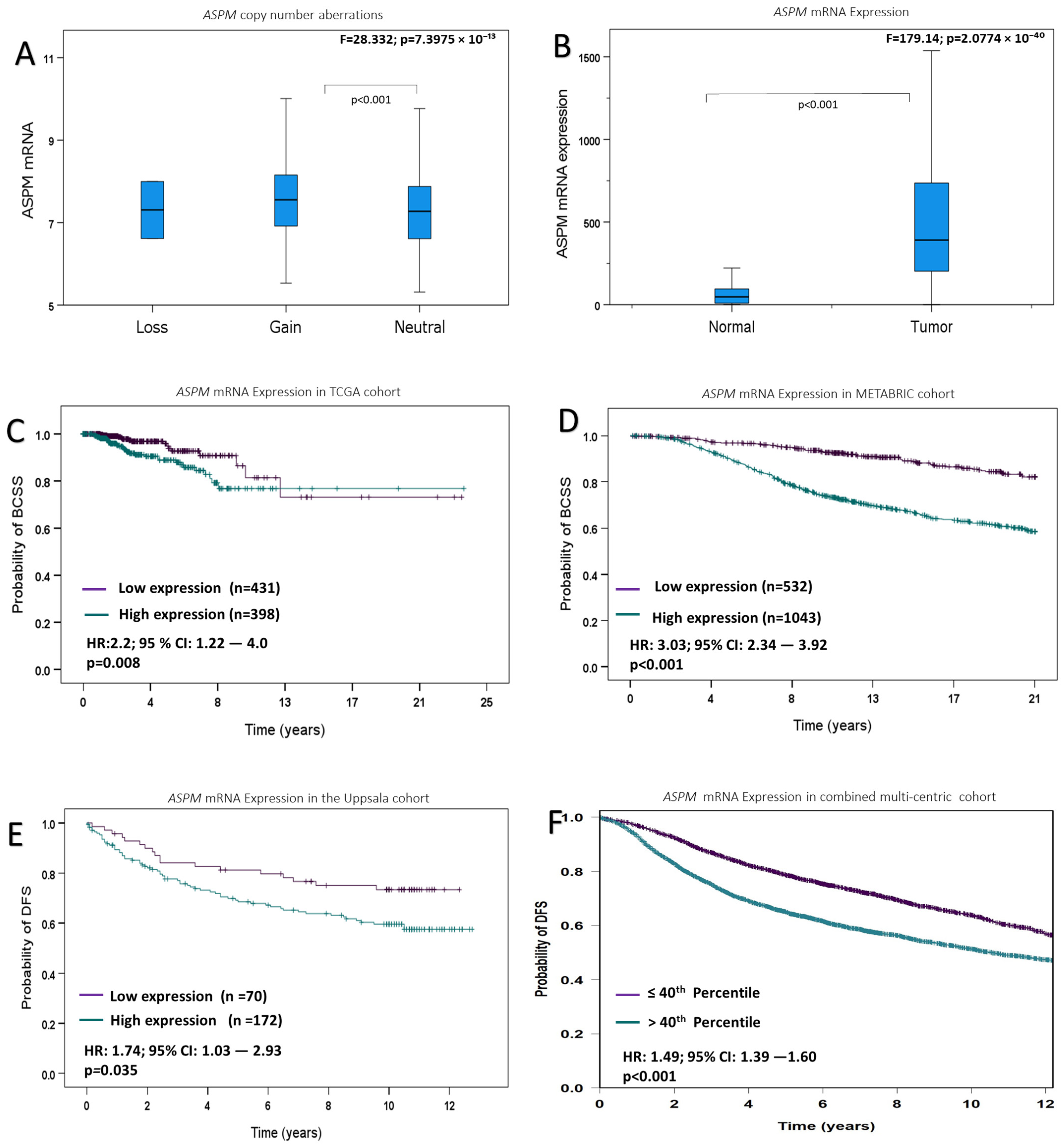 Cancers 16 03814 g001