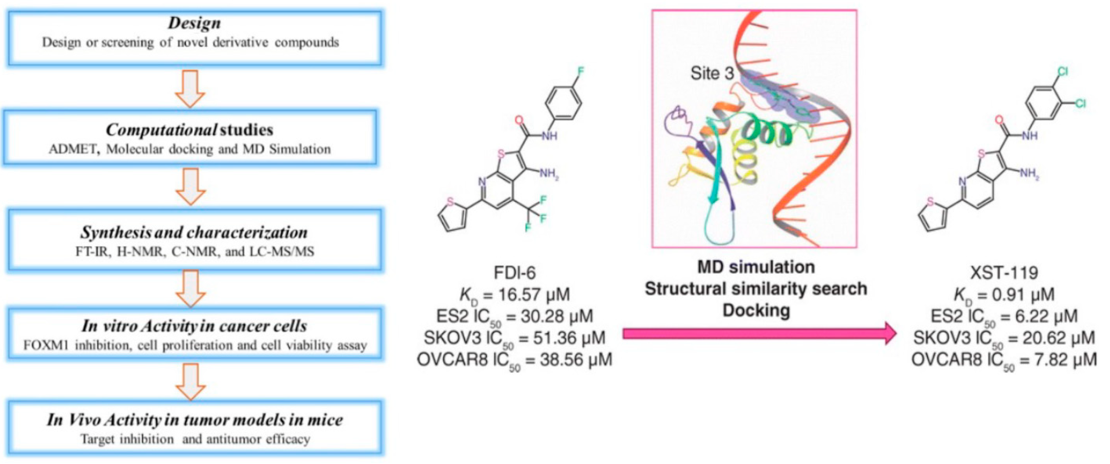Cancers 16 03823 g004 Cancers 16 03823 g004