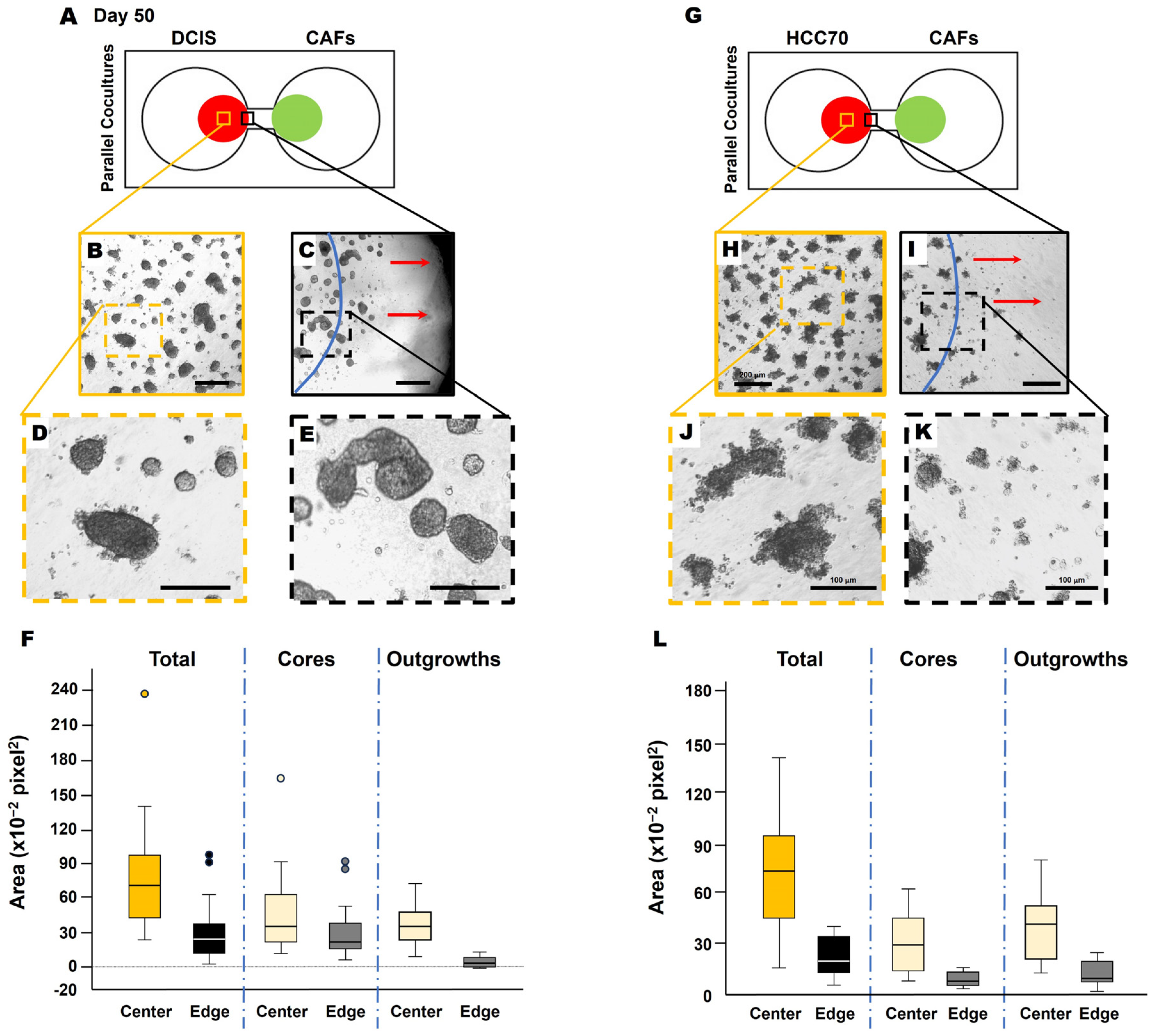 Cancers 16 03840 g005