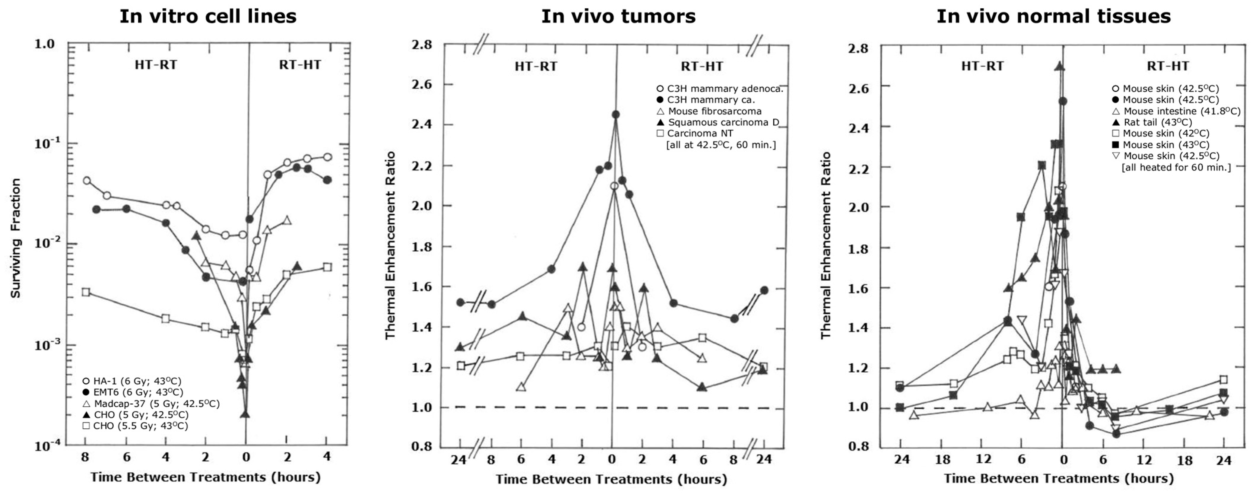 Cancers 16 03916 g002