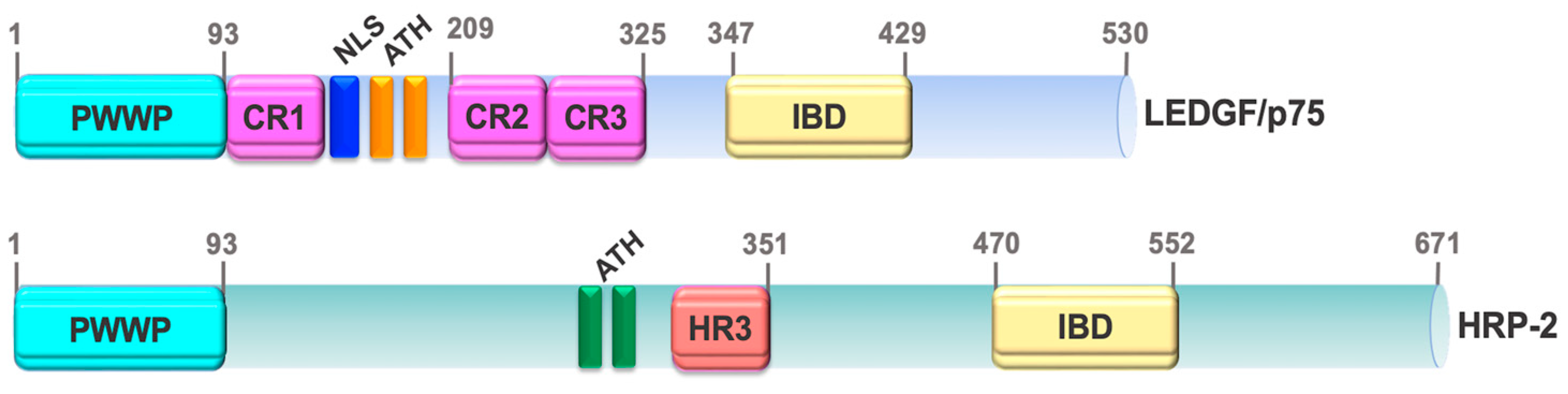 Cancers 16 03957 g002