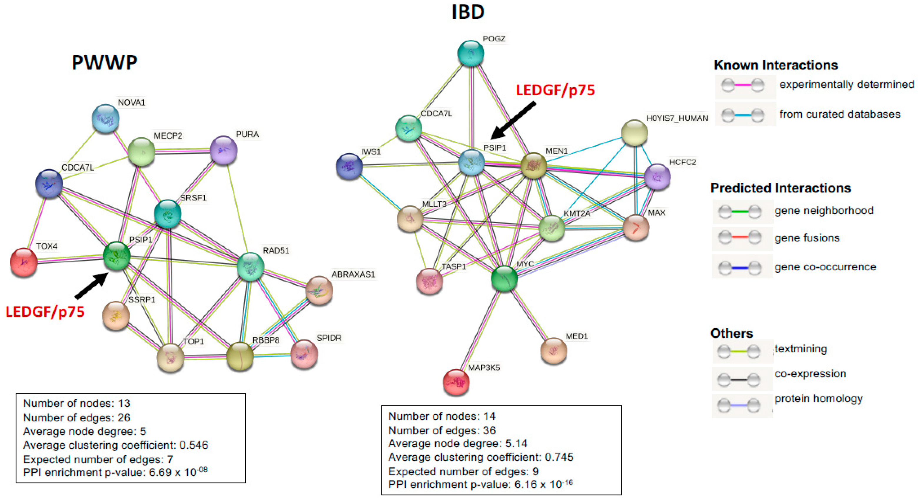 Cancers 16 03957 g003