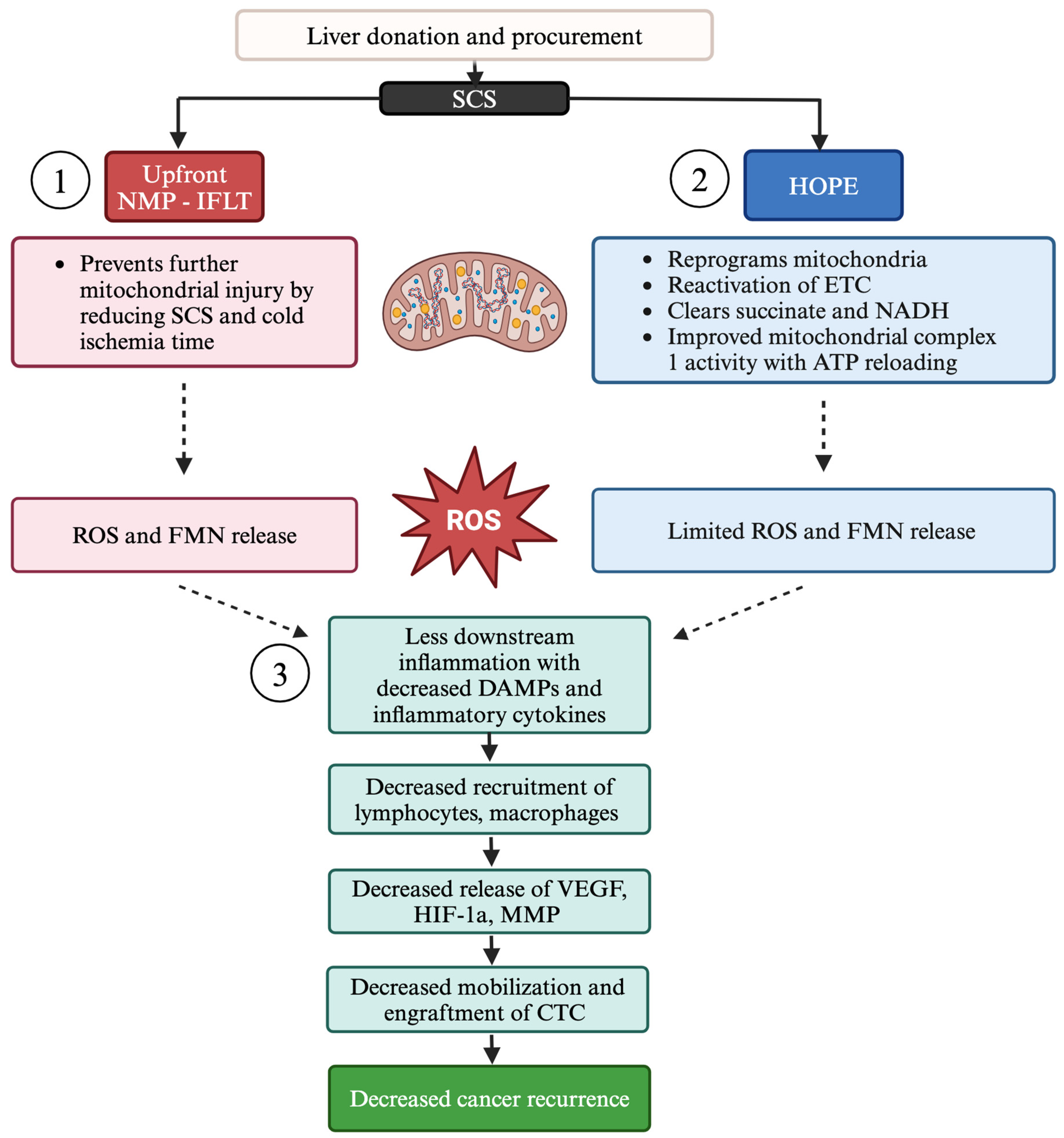 Cancers 16 03959 g002 Cancers 16 03959 g002