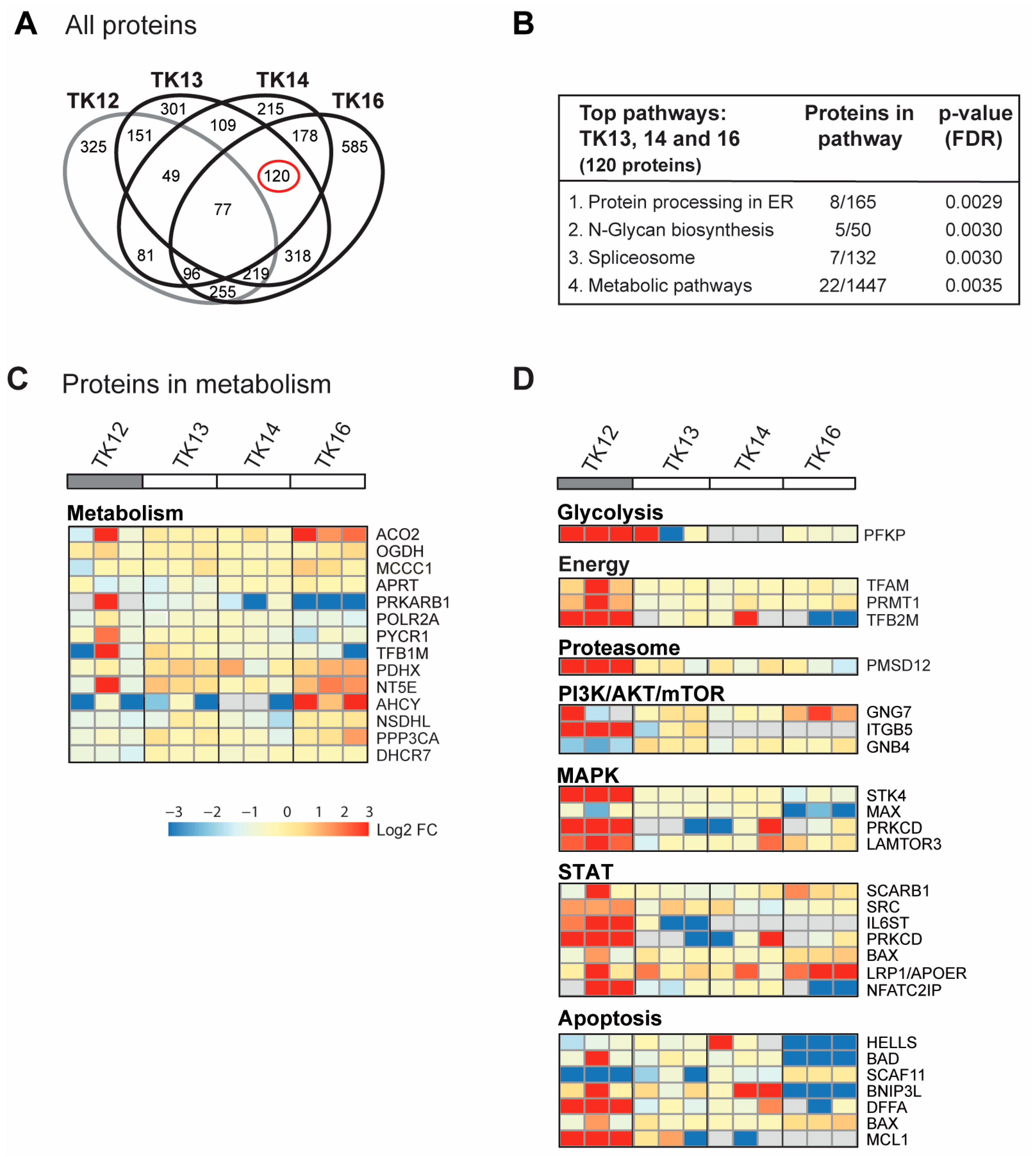 Cancers 16 03963 g004