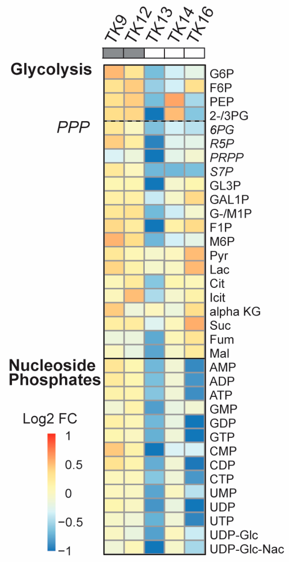 Cancers 16 03963 g005