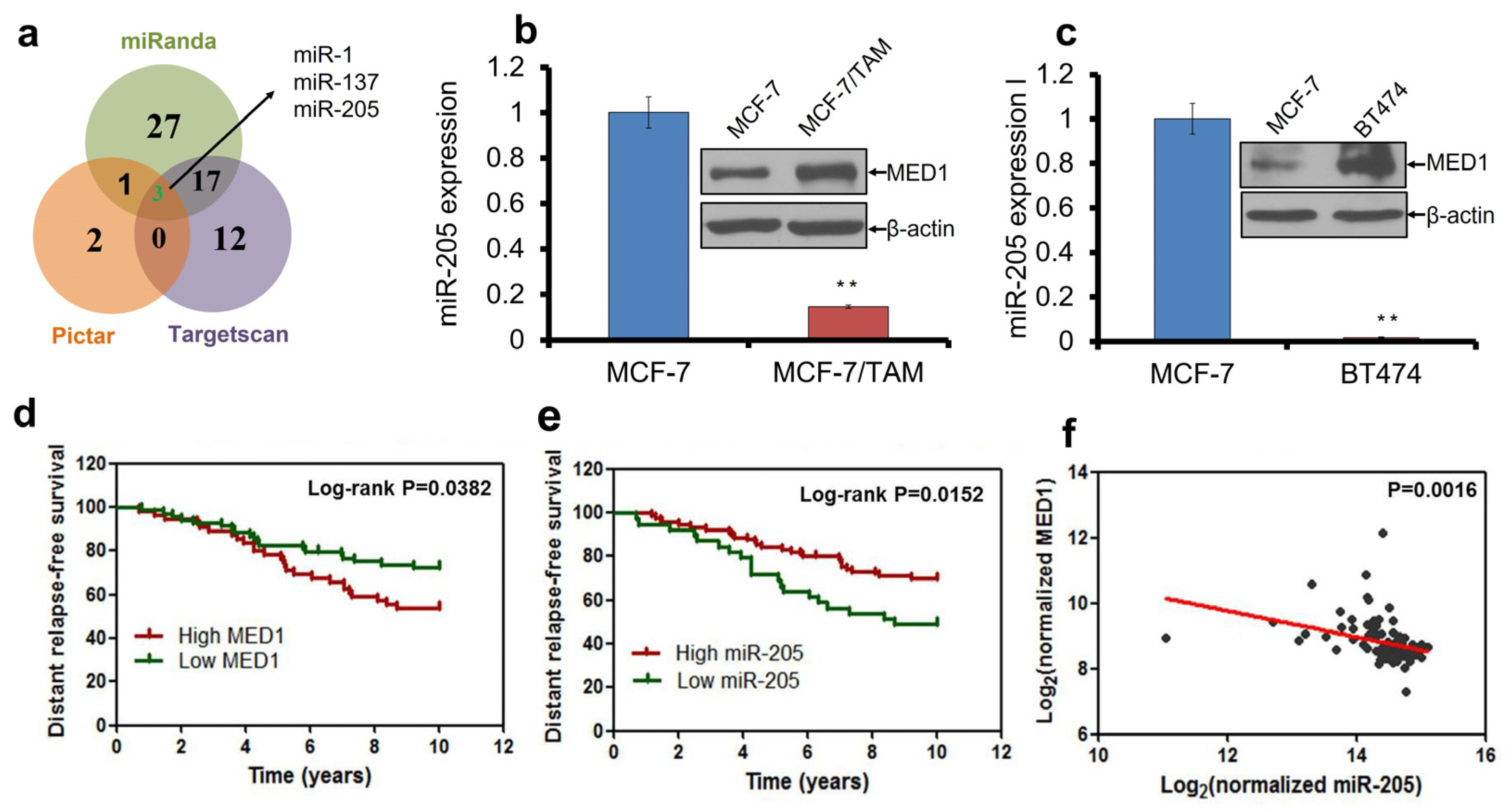 Cancers 16 03992 g001
