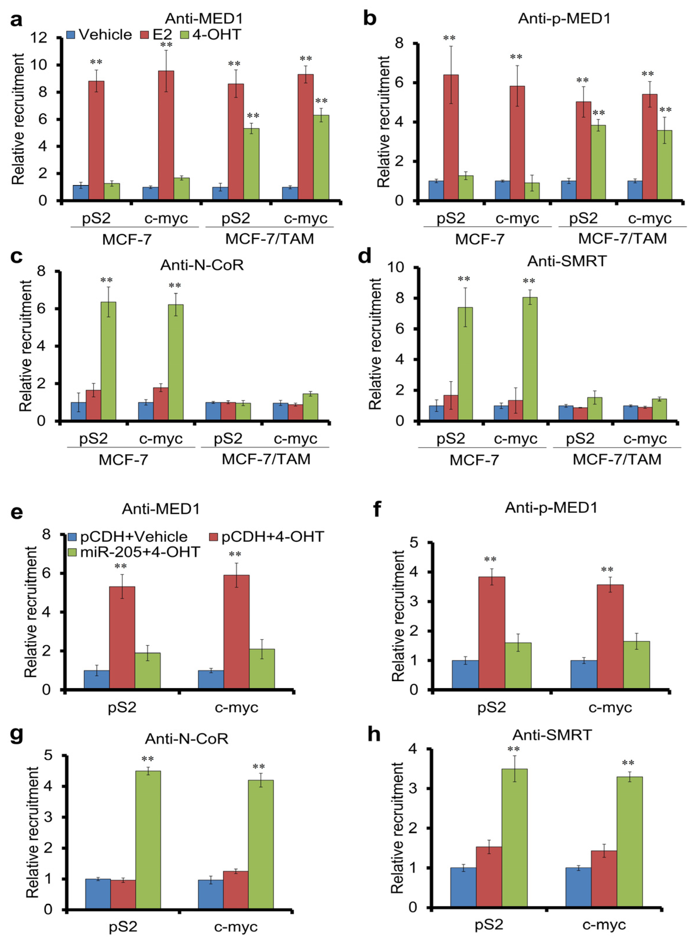 Cancers 16 03992 g005