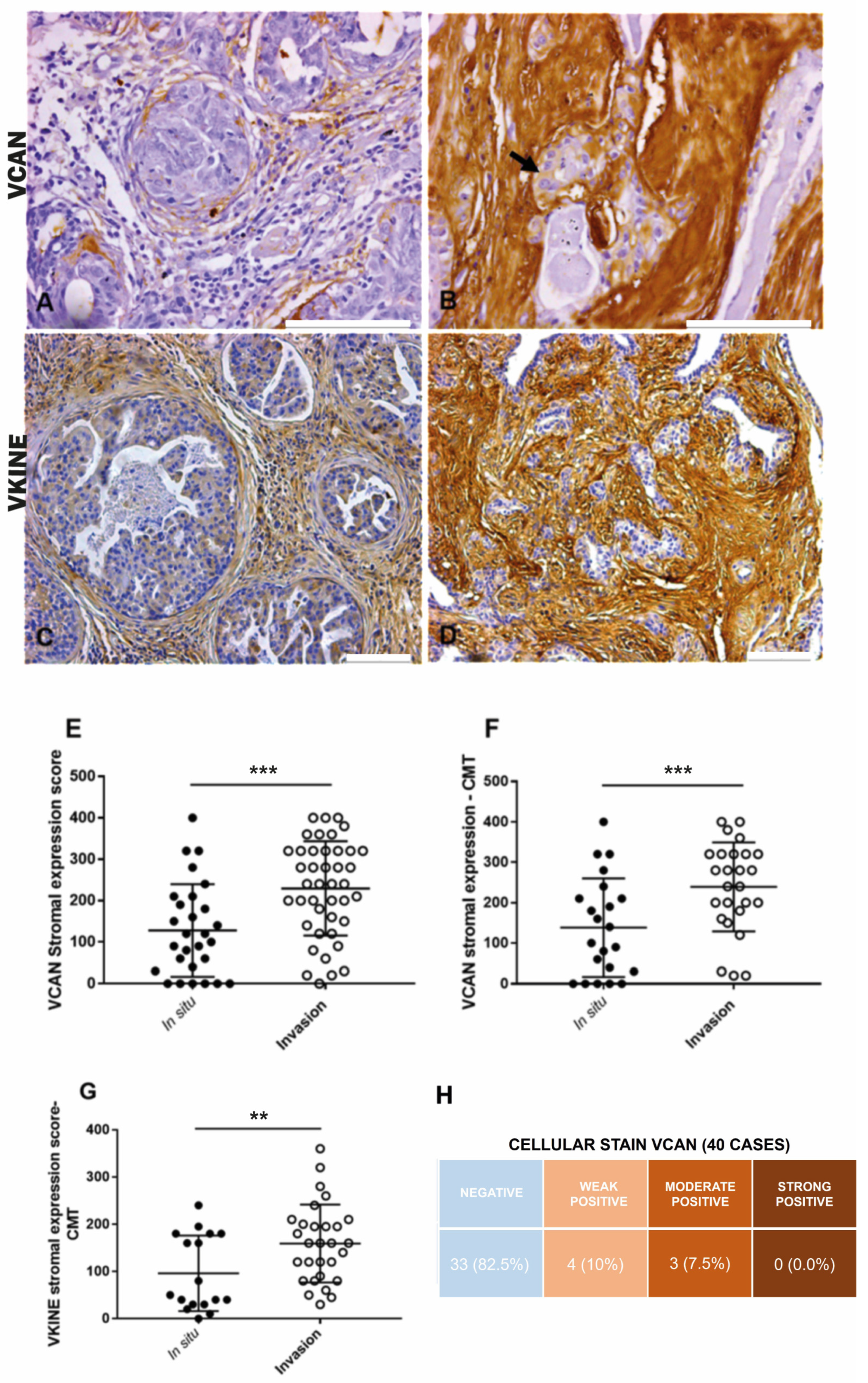 Cancers 16 04057 g001