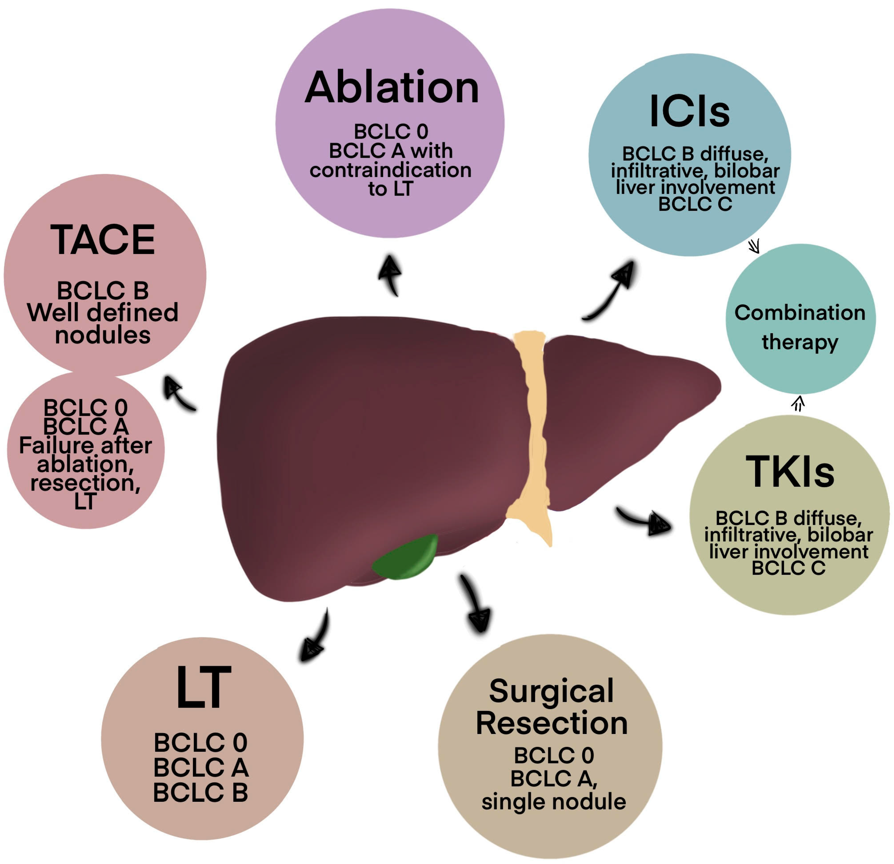 Cancers 16 04059 g001