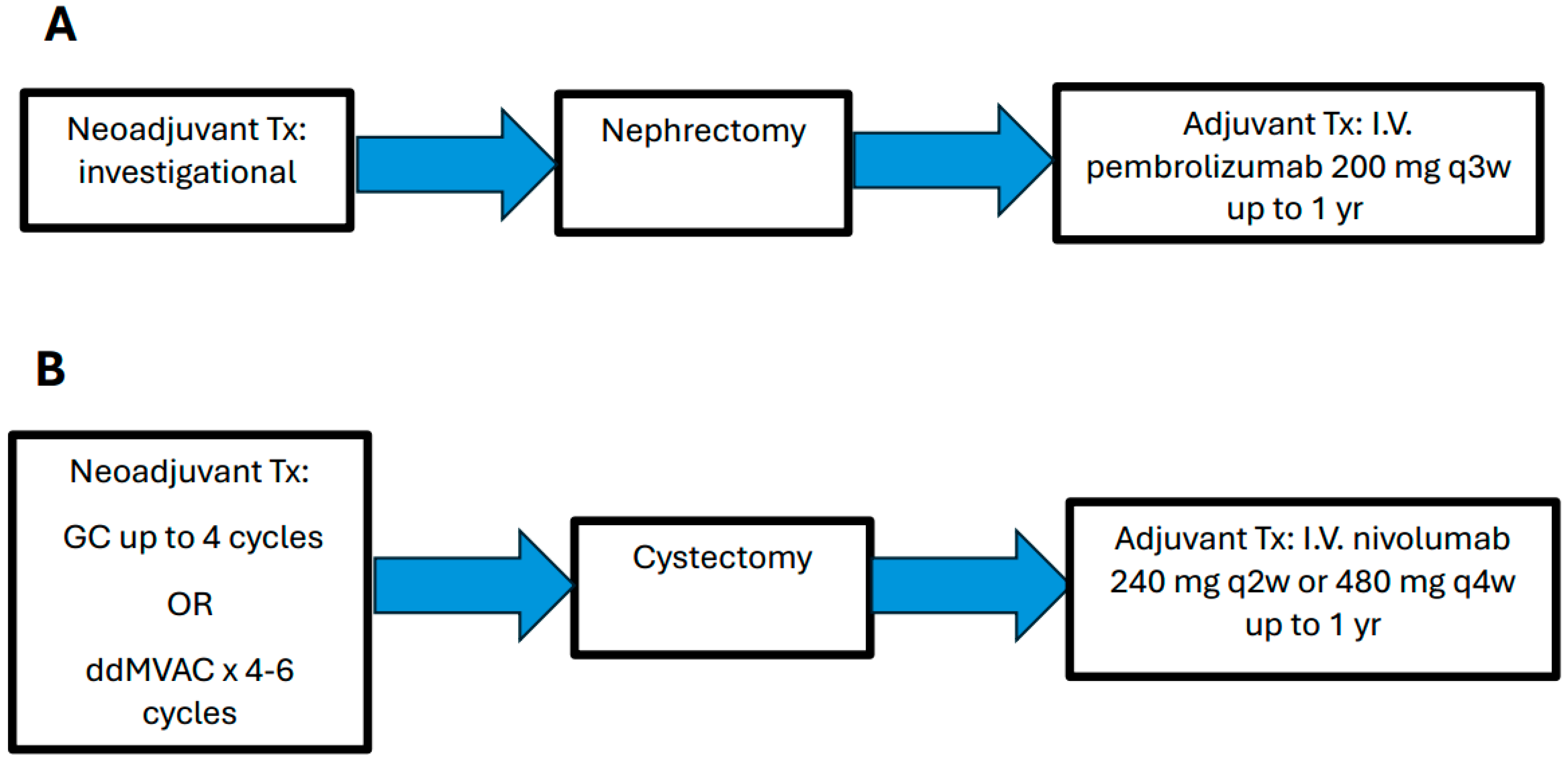 Cancers 16 04127 g002 Cancers 16 04127 g002
