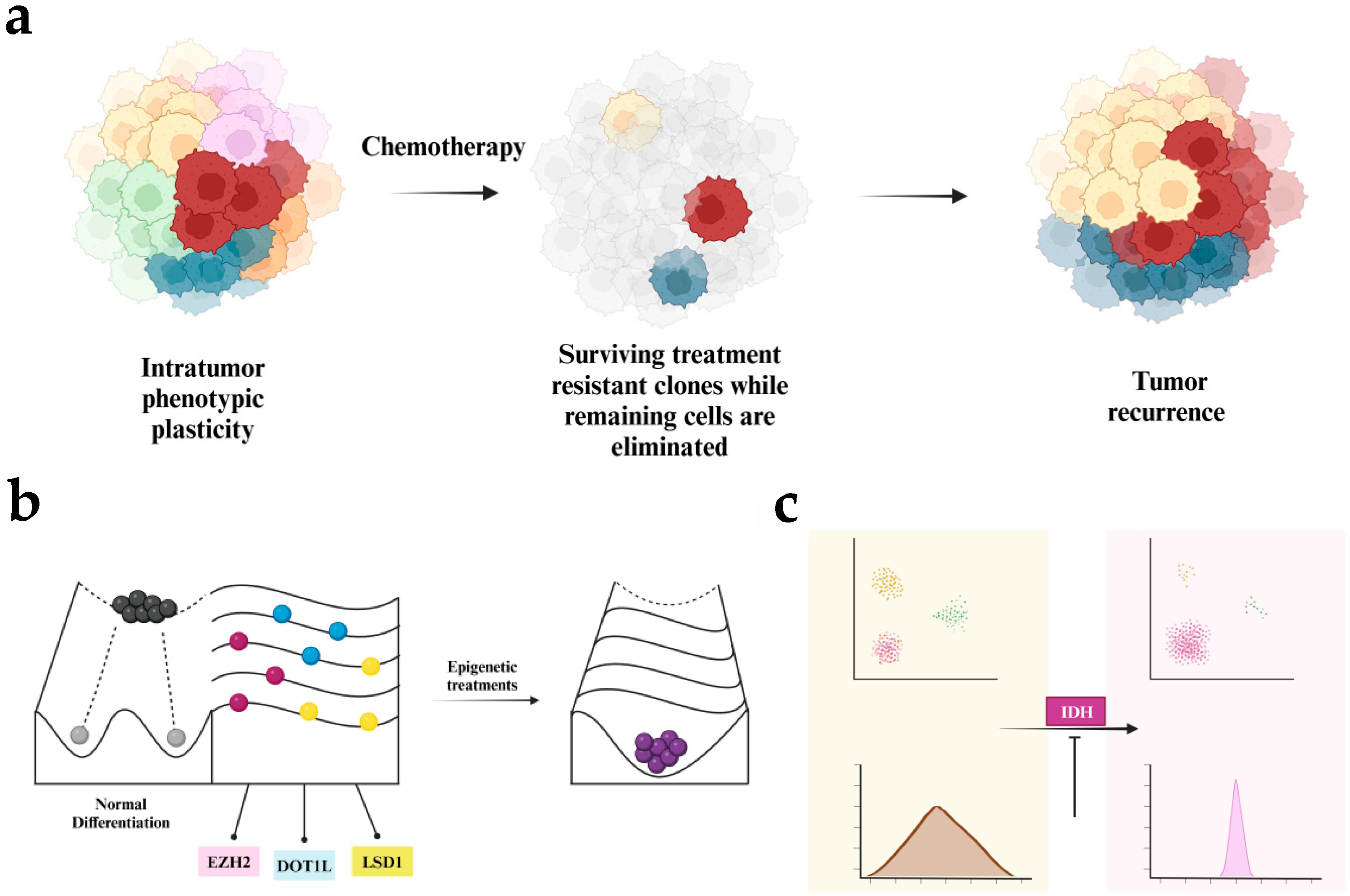 Cancers 16 04149 g005