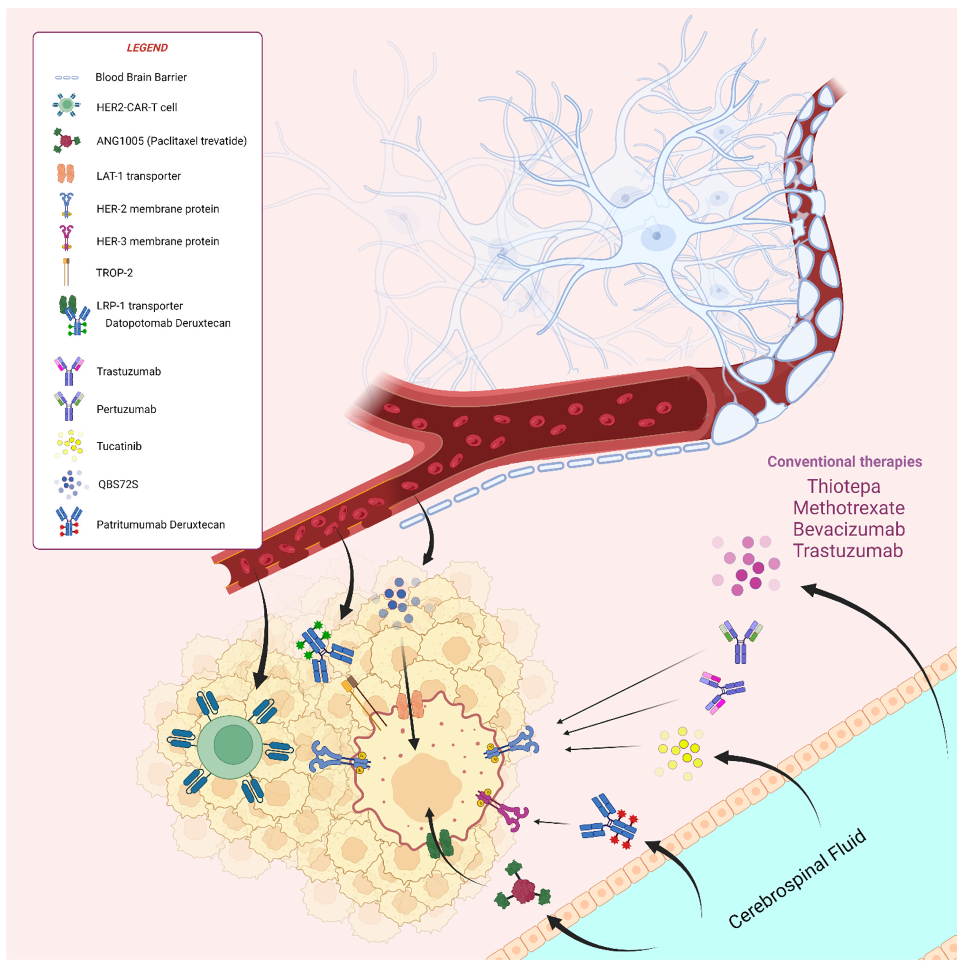 Cancers 16 04164 g002 Cancers 16 04164 g002