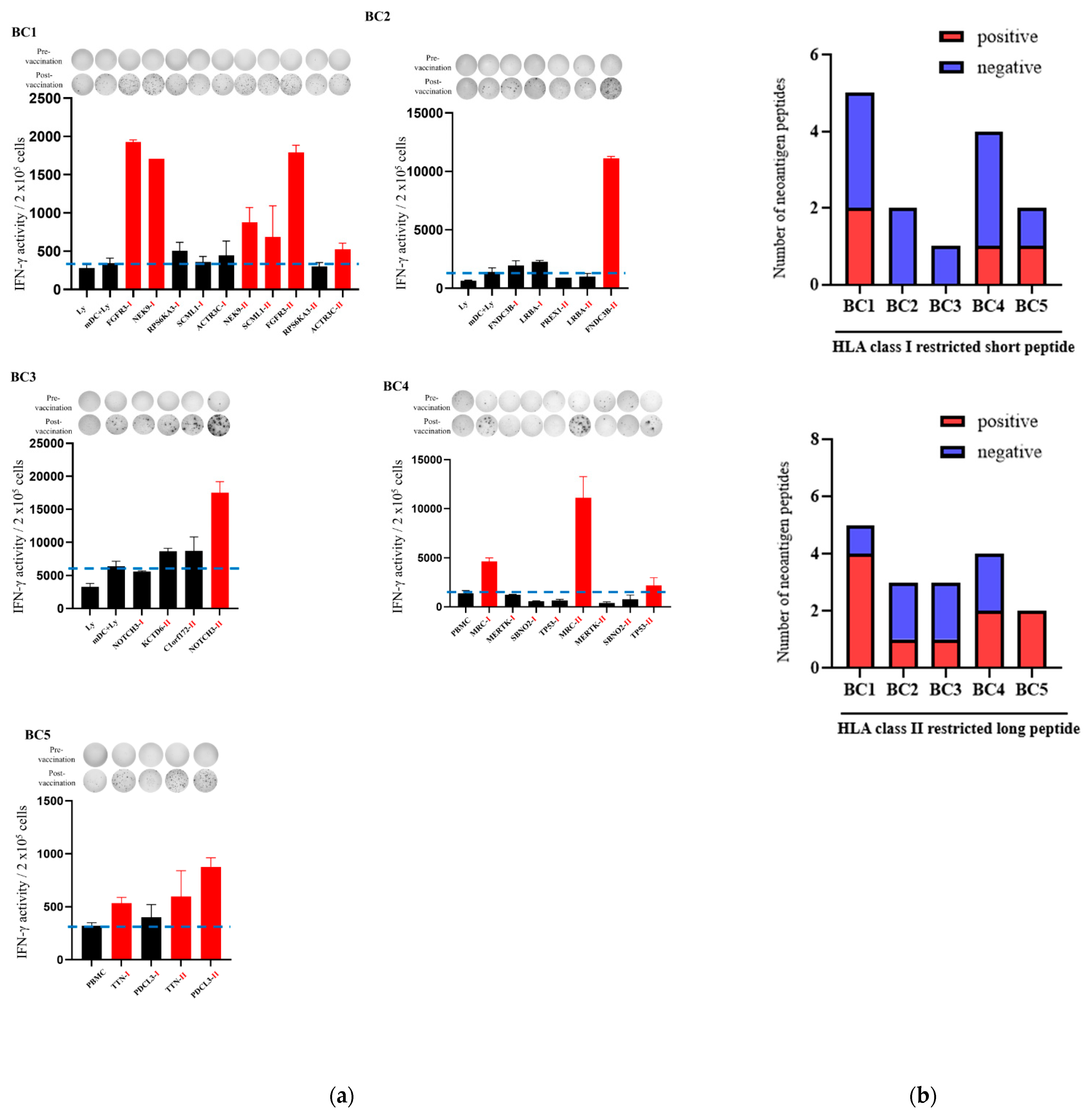 Cancers 16 04204 g002