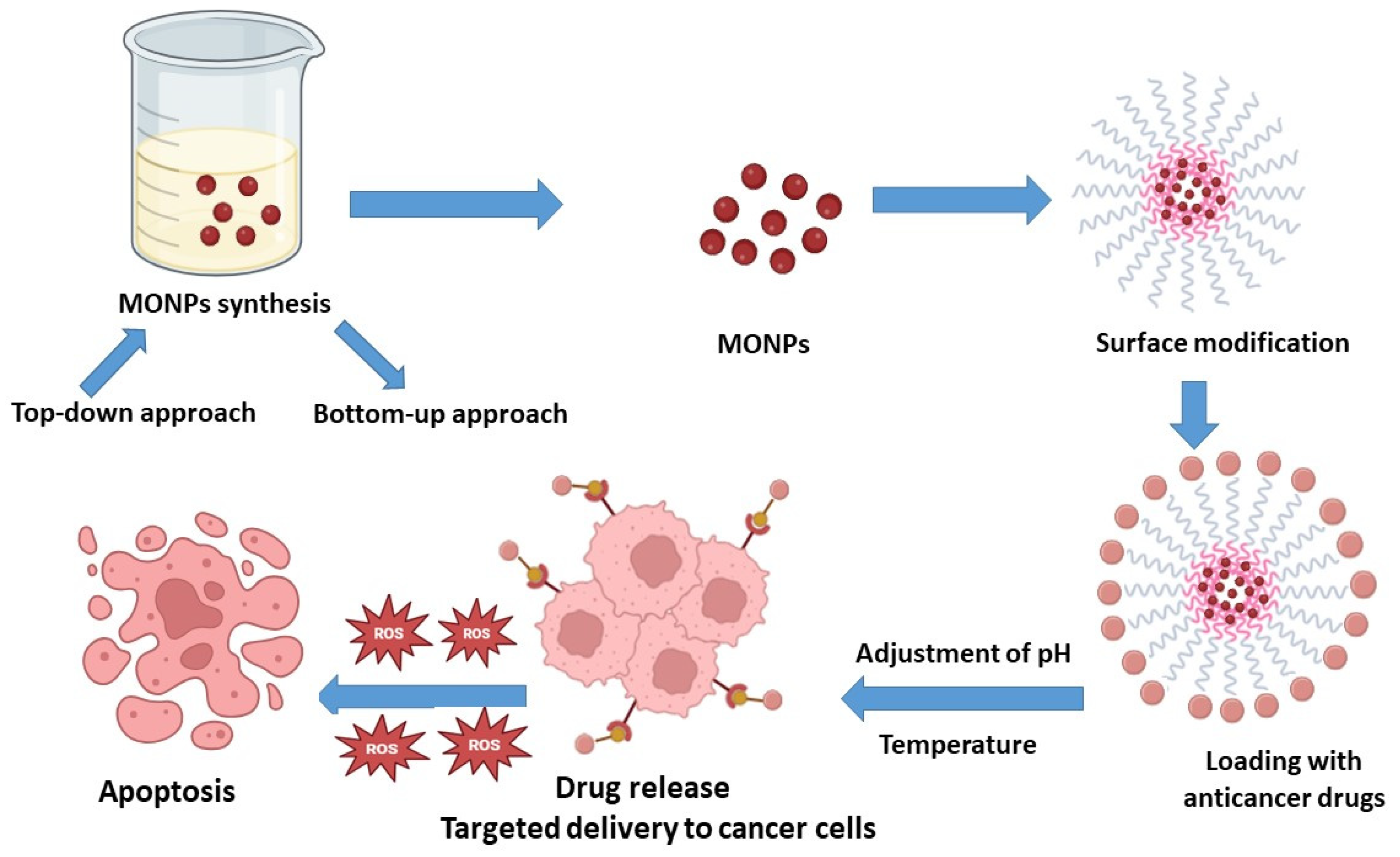 Cancers 16 04234 g002