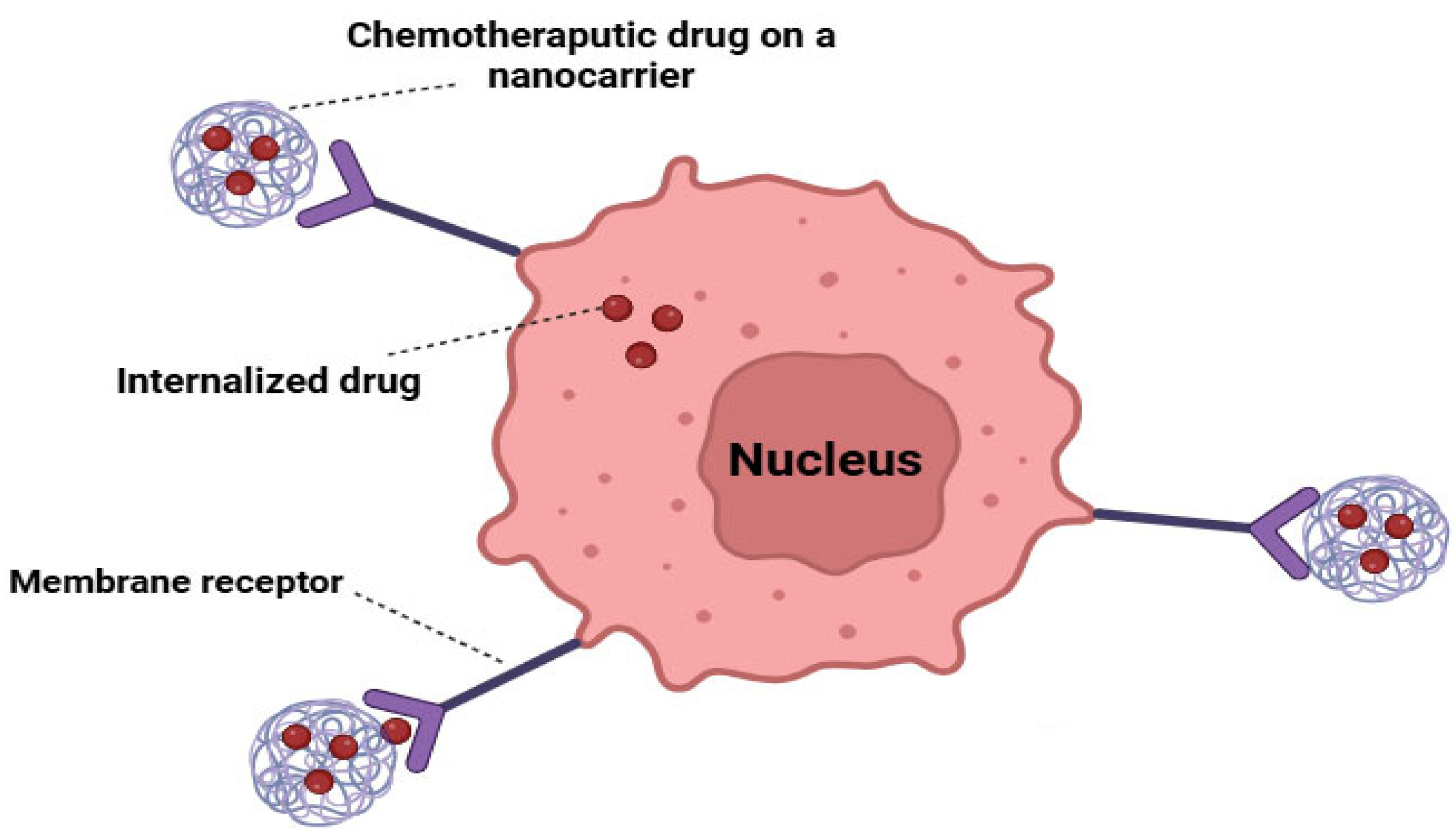 Cancers 16 04234 g004