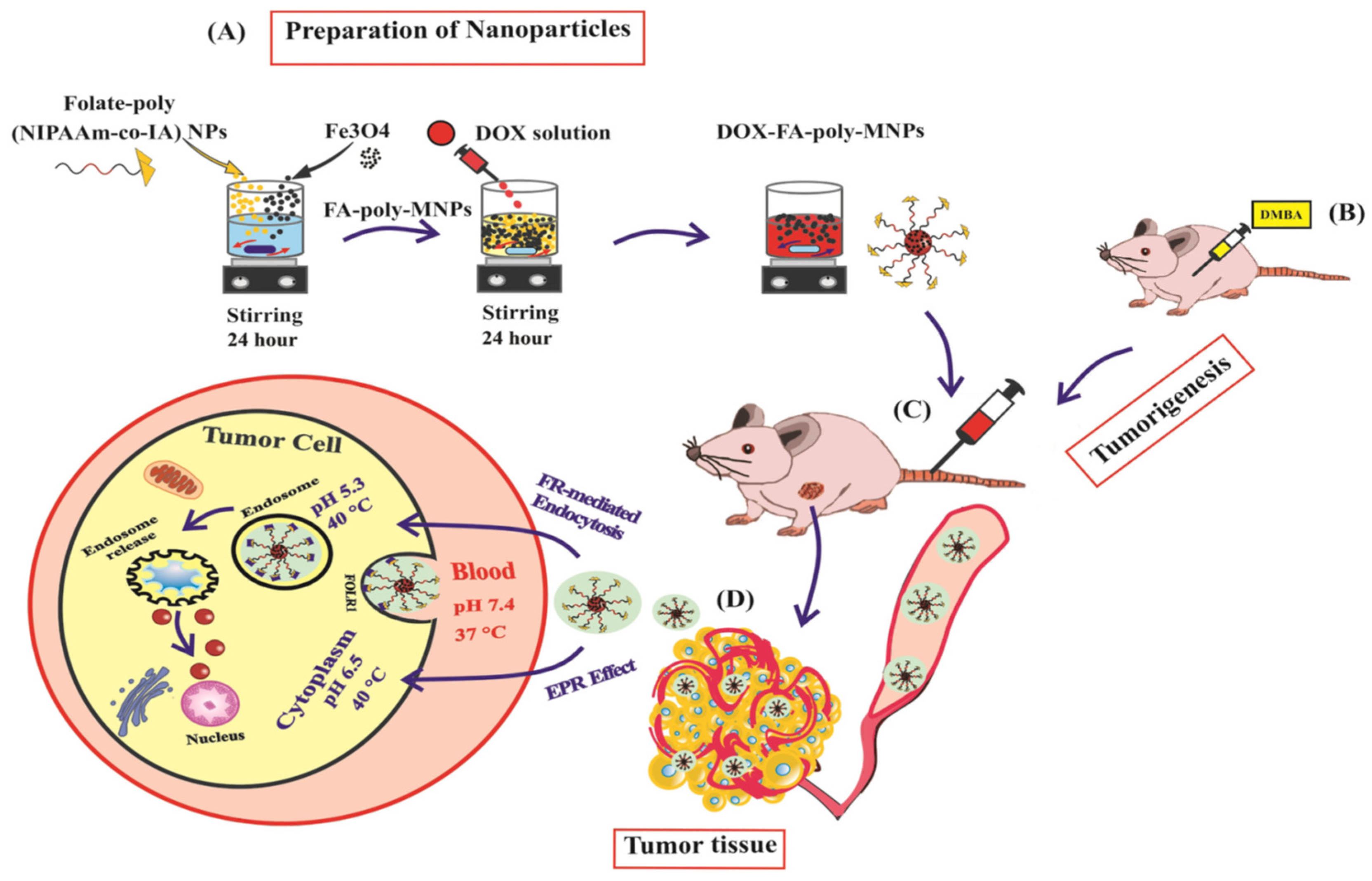 Cancers 16 04234 g006