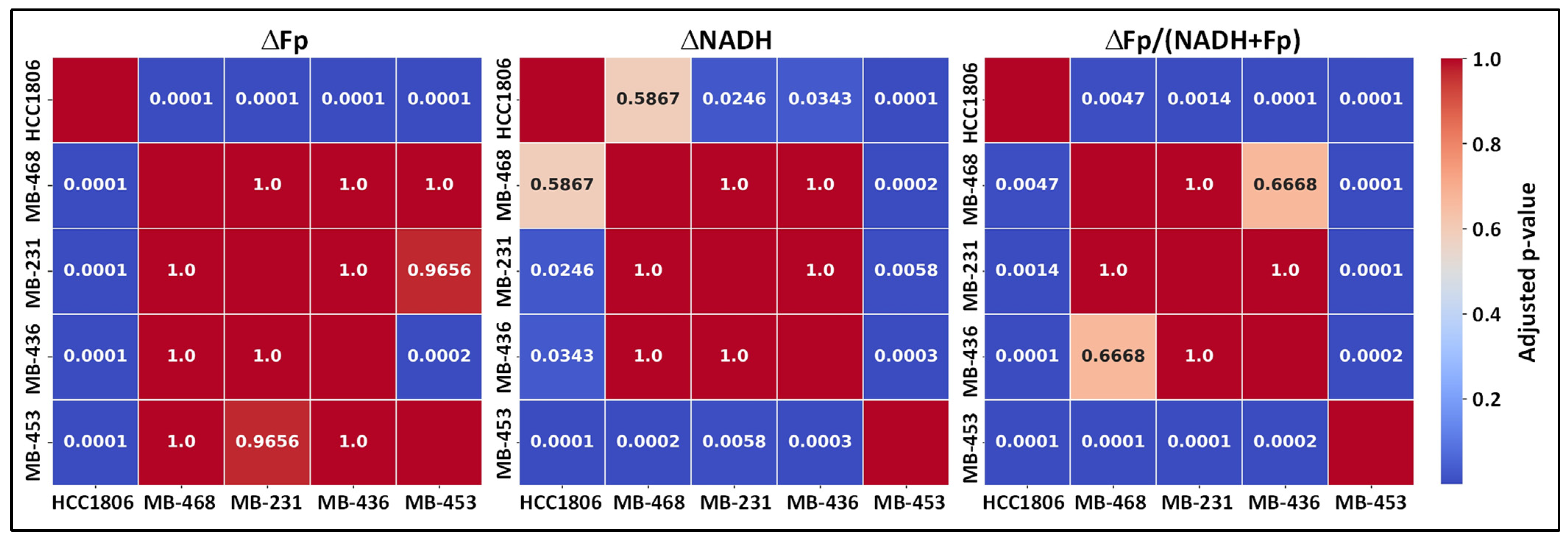 Cancers 17 00007 g005