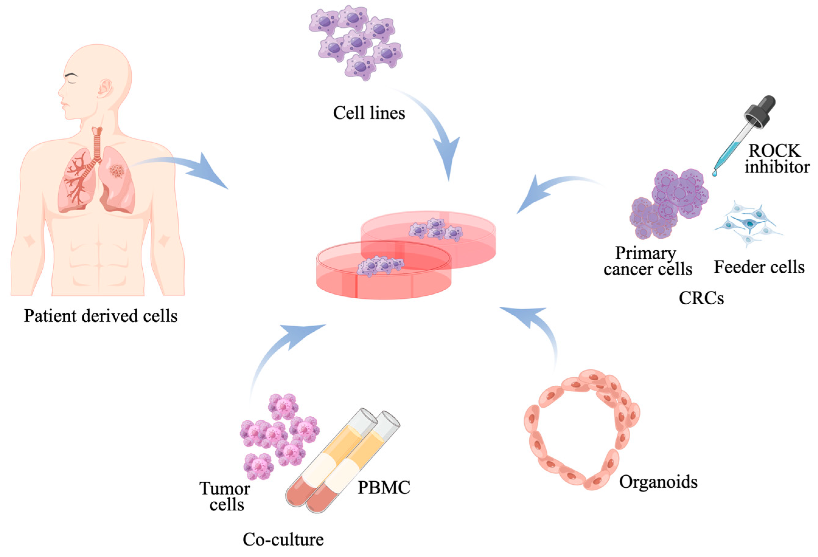 Cancers 17 00022 g001 Cancers 17 00022 g001