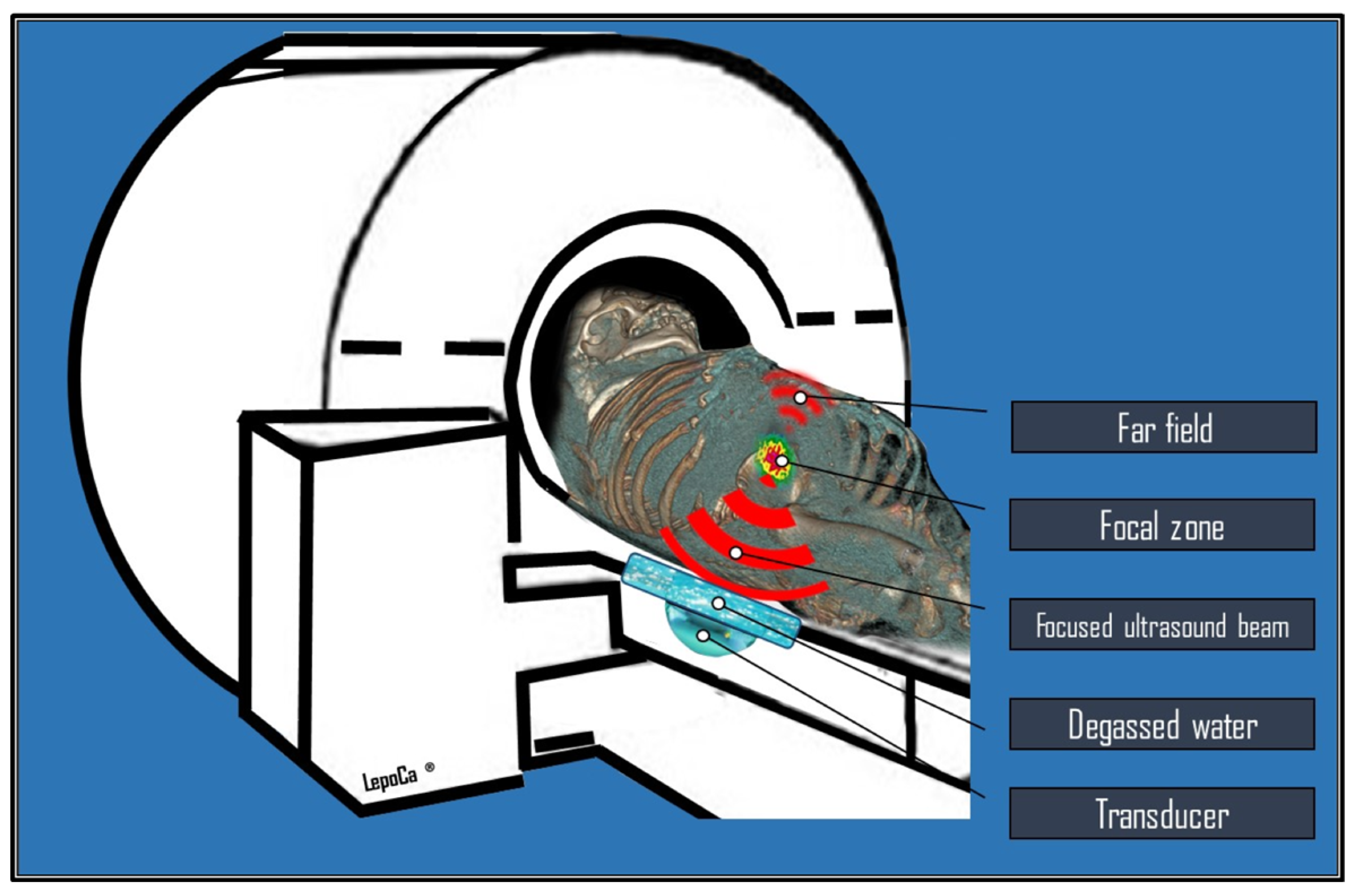 Cancers 17 00036 g001